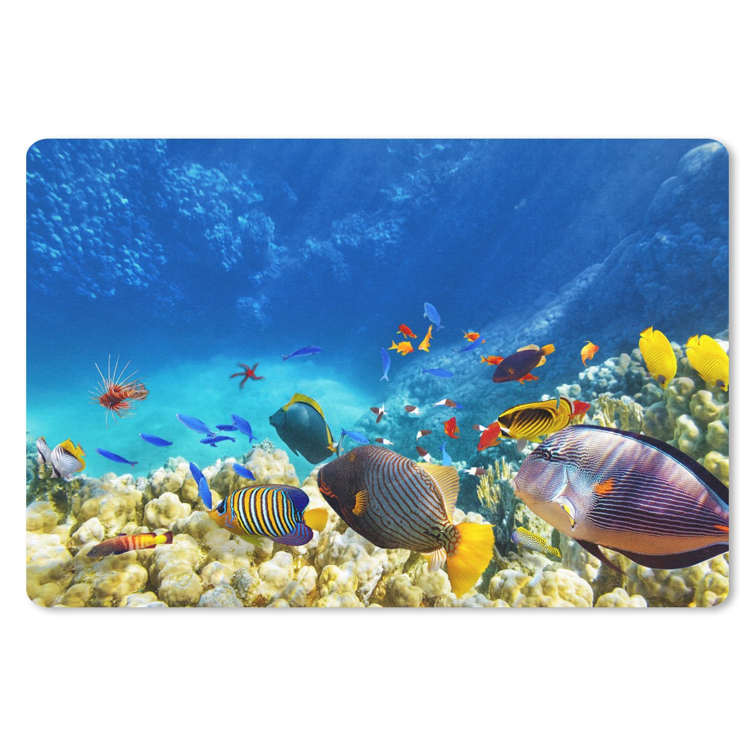 Mauspad Meer - Fische - Korallen - Unterwasserwelt