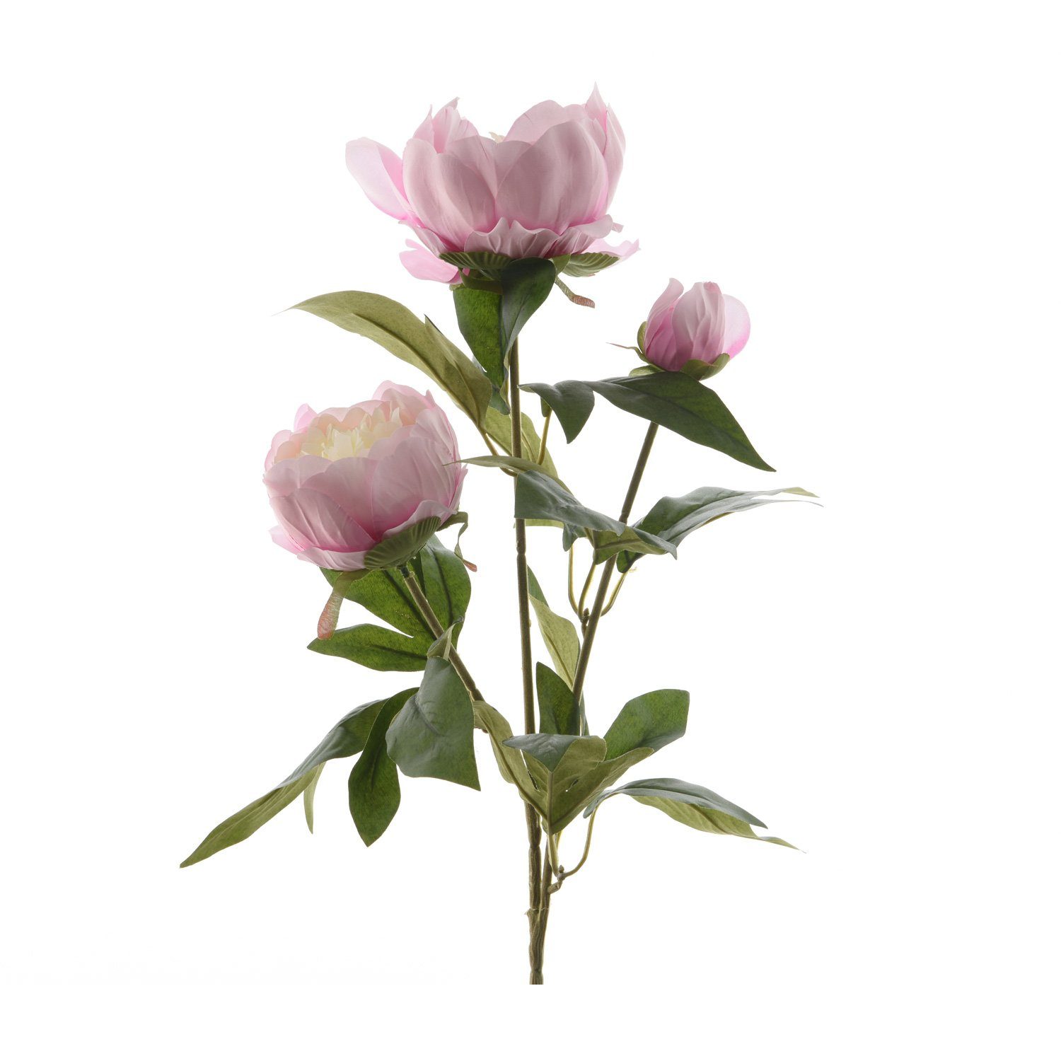 Kunstblume cm H: Höhe MARELIDA, und 2 Stiel mit Knospe Blüten am Pfingstrose 75 75cm, Päonie Kunstblume