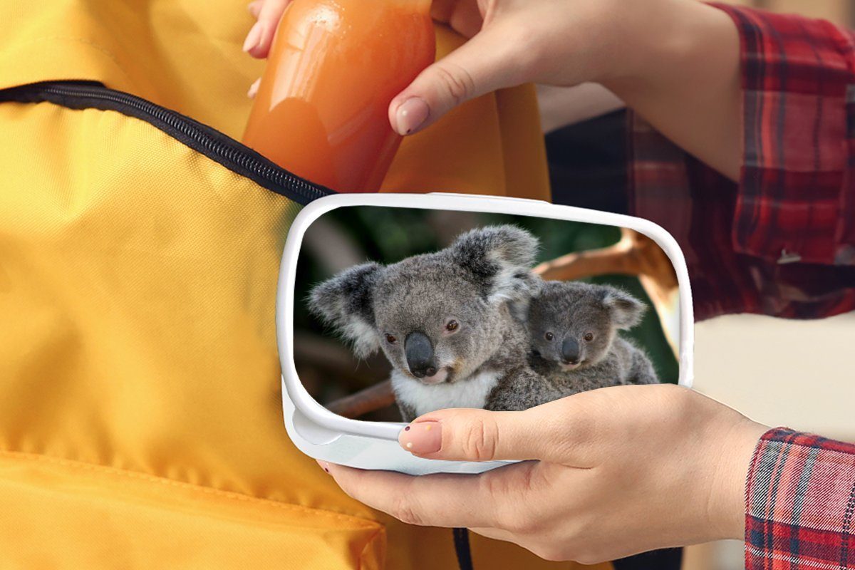 MuchoWow Lunchbox - Brotdose, Jungs Erwachsene, für Kunststoff, Mädchen Kinder Mädchen, - - und Vater Jungen Kind für - Brotbox Koalas (2-tlg), weiß und