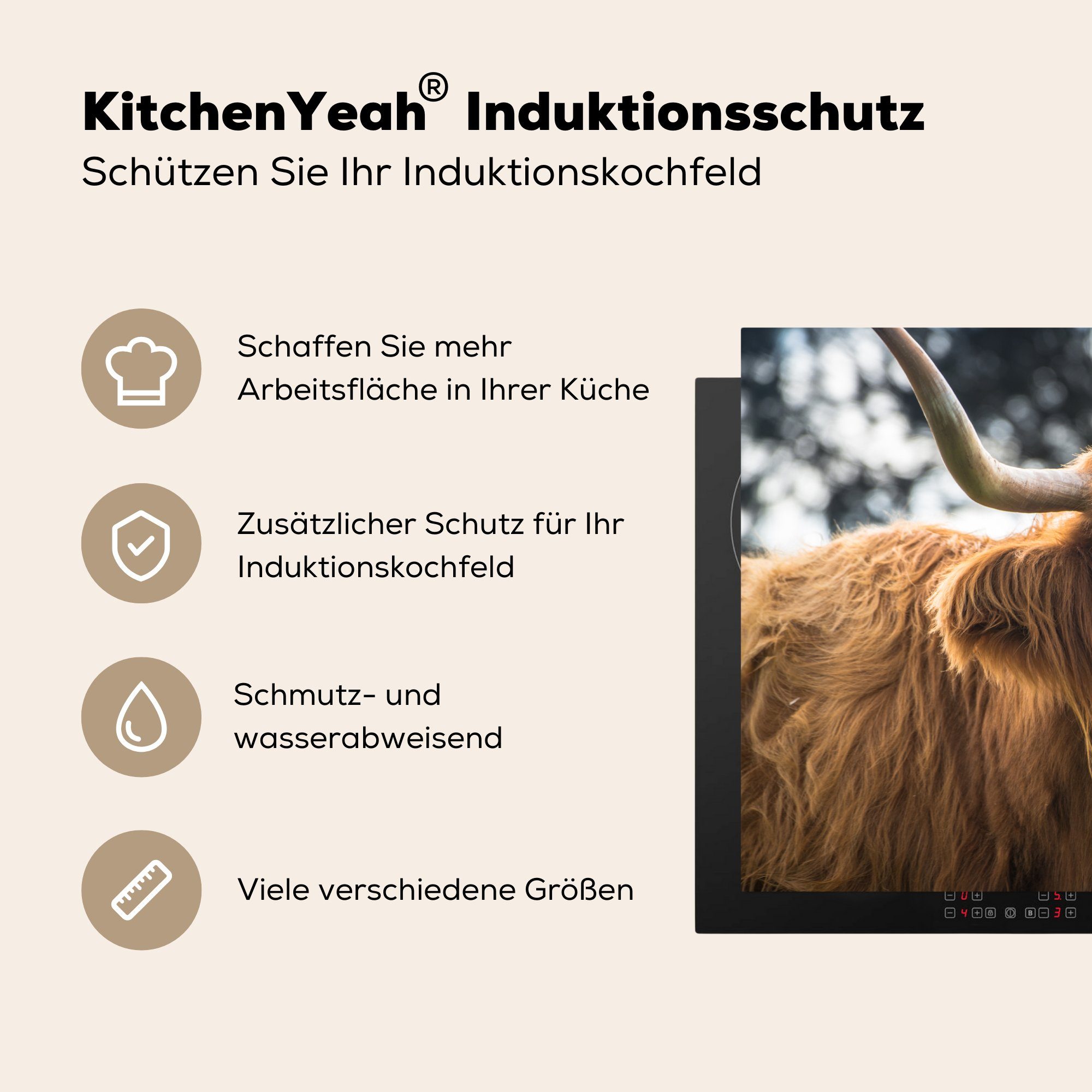 (1 Herdblende-/Abdeckplatte Hochländer MuchoWow Schutz Hoorn Ceranfeldabdeckung - cm, für Schottischer Vinyl, küche, tlg), die Induktionskochfeld Natur, 81x52 -