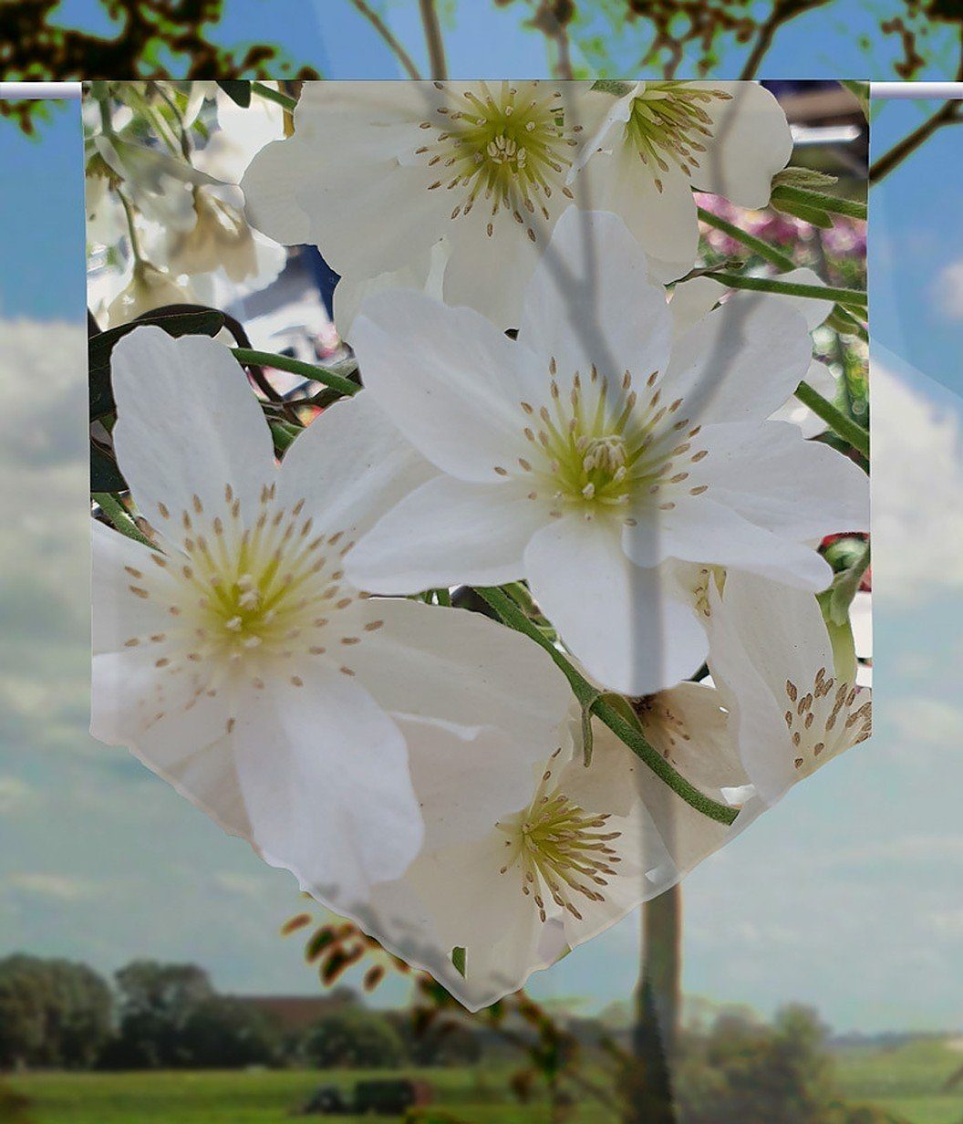 Voile Feiner spitz Blüten, aus gardinen-for-life Scheibengardine Scheibenhänger Voile, Weiße Transparent
