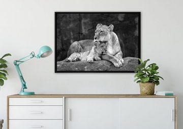 Pixxprint Leinwandbild Löwe Löwenjungen, Wanddekoration (1 St), Leinwandbild fertig bespannt, in einem Schattenfugen-Bilderrahmen gefasst, inkl. Zackenaufhänger