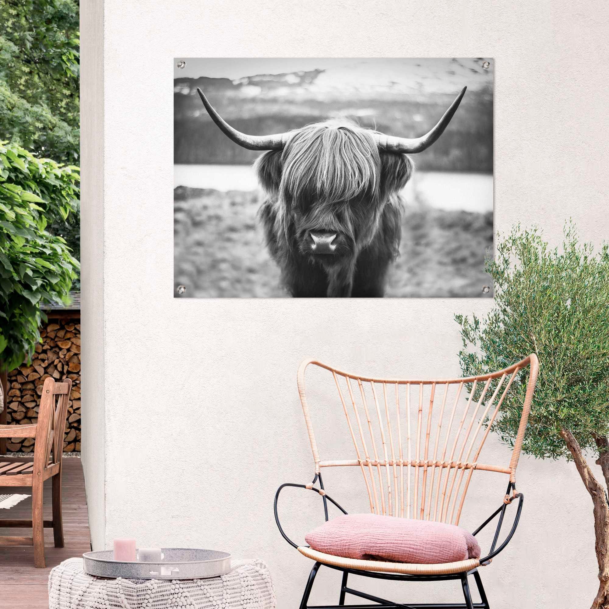 Reinders! Poster Schottische Hochlandrind