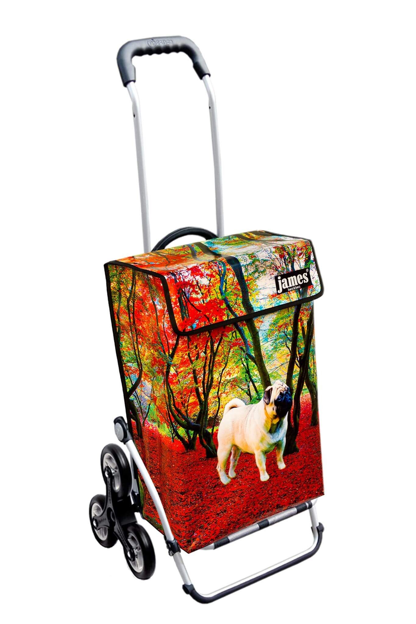 Royal Treppensteigerräder