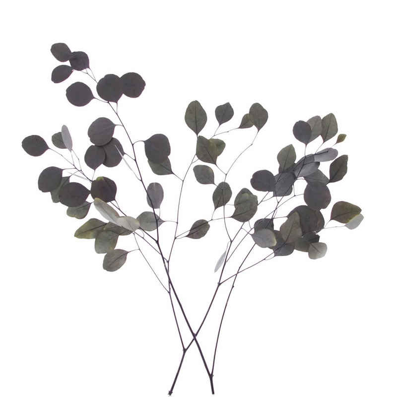 Kunstpflanze »Eukalyptus«, VBS, 35 g