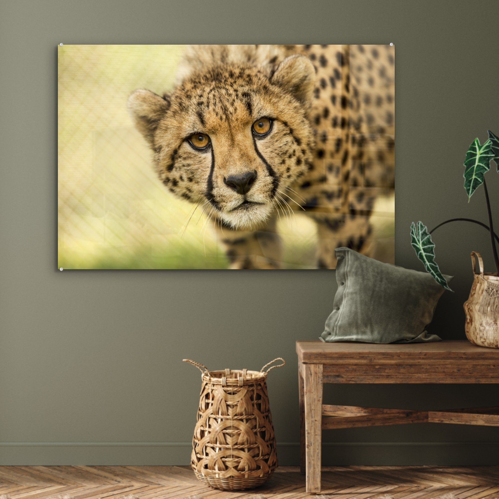 MuchoWow Acrylglasbild Leopard Schlafzimmer Acrylglasbilder St), & Gepard - (1 Tier, Wohnzimmer 