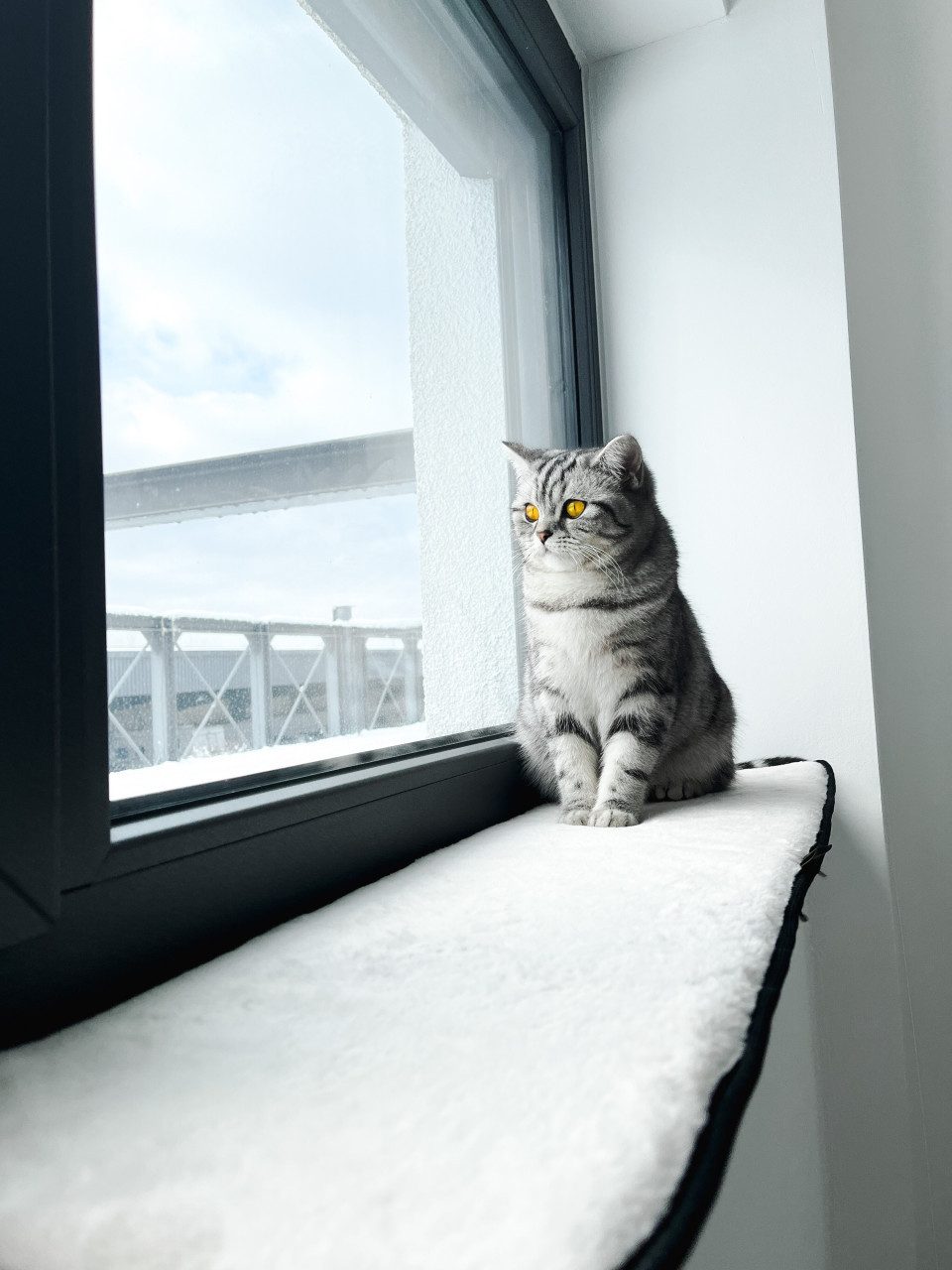 Lebon Tierbett Lebon Fensterbankauflage für Katzen Banki XXL 90 x
