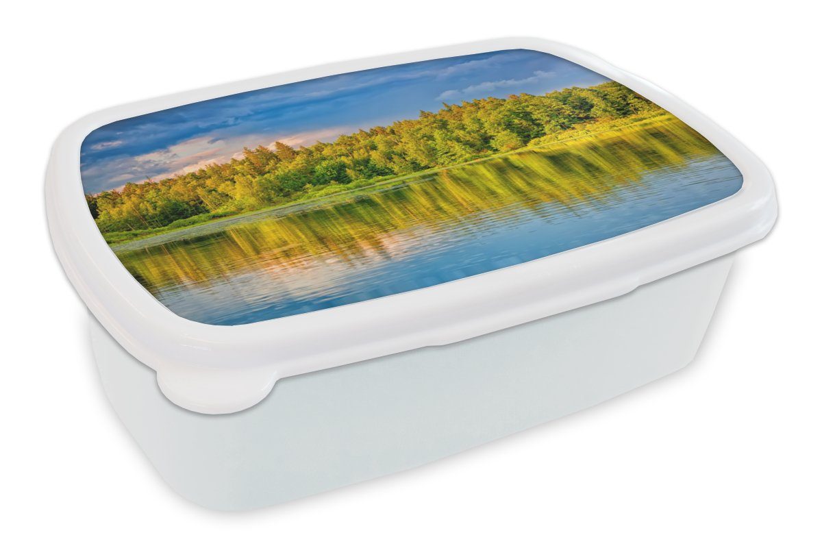 MuchoWow Lunchbox Wasser - Natur - Wald, Kunststoff, (2-tlg), Brotbox für Kinder und Erwachsene, Brotdose, für Jungs und Mädchen weiß