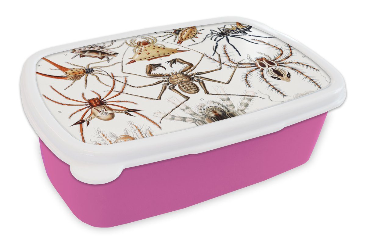 MuchoWow Lunchbox Retro - Spinne - Ernst Haeckel - Spinnen, Kunststoff, (2-tlg), Brotbox für Erwachsene, Brotdose Kinder, Snackbox, Mädchen, Kunststoff rosa