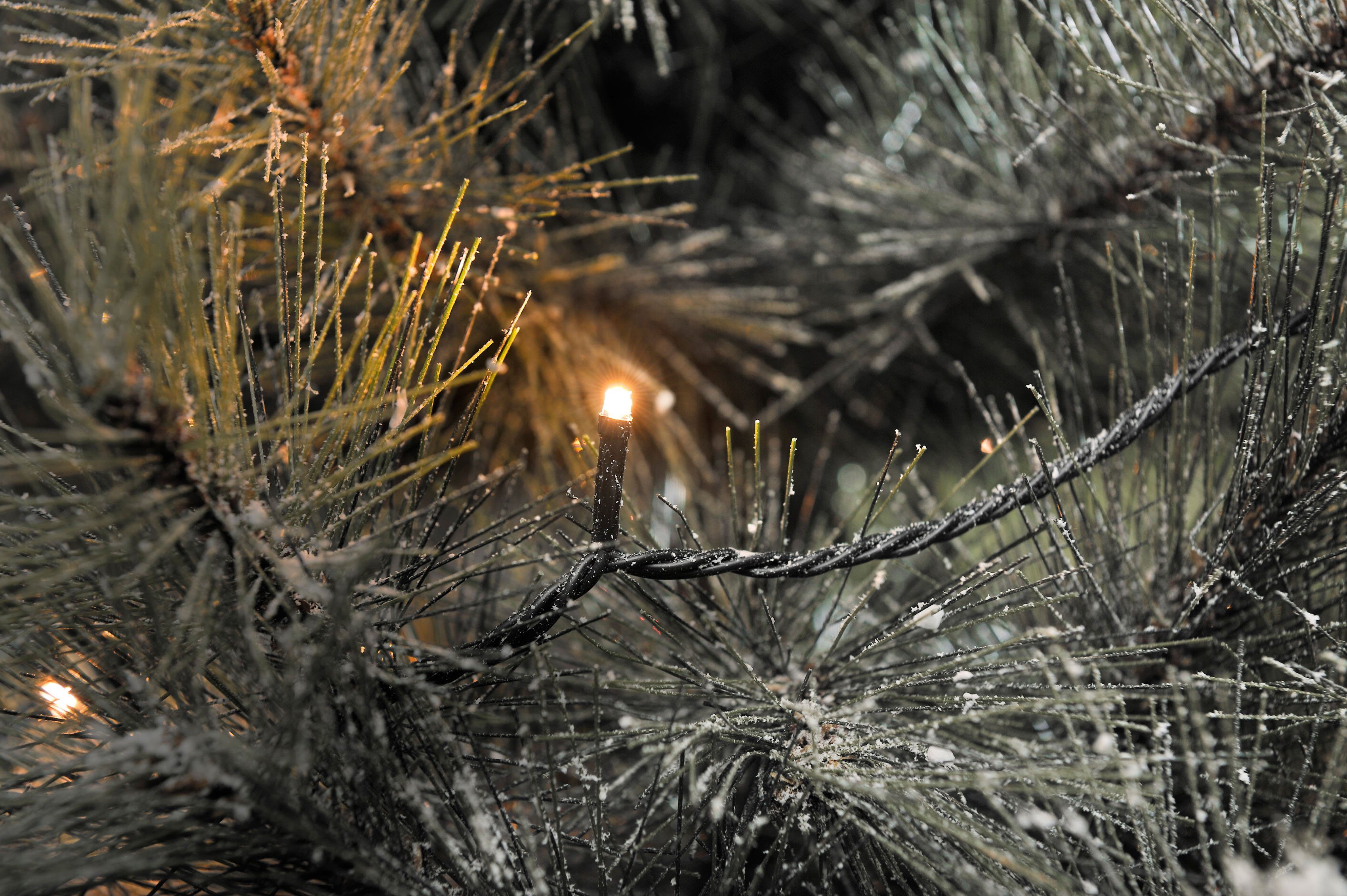 KONSTSMIDE LED-Lichterkette Weihnachtsdeko aussen, 120-flammig, Micro günstig online kaufen