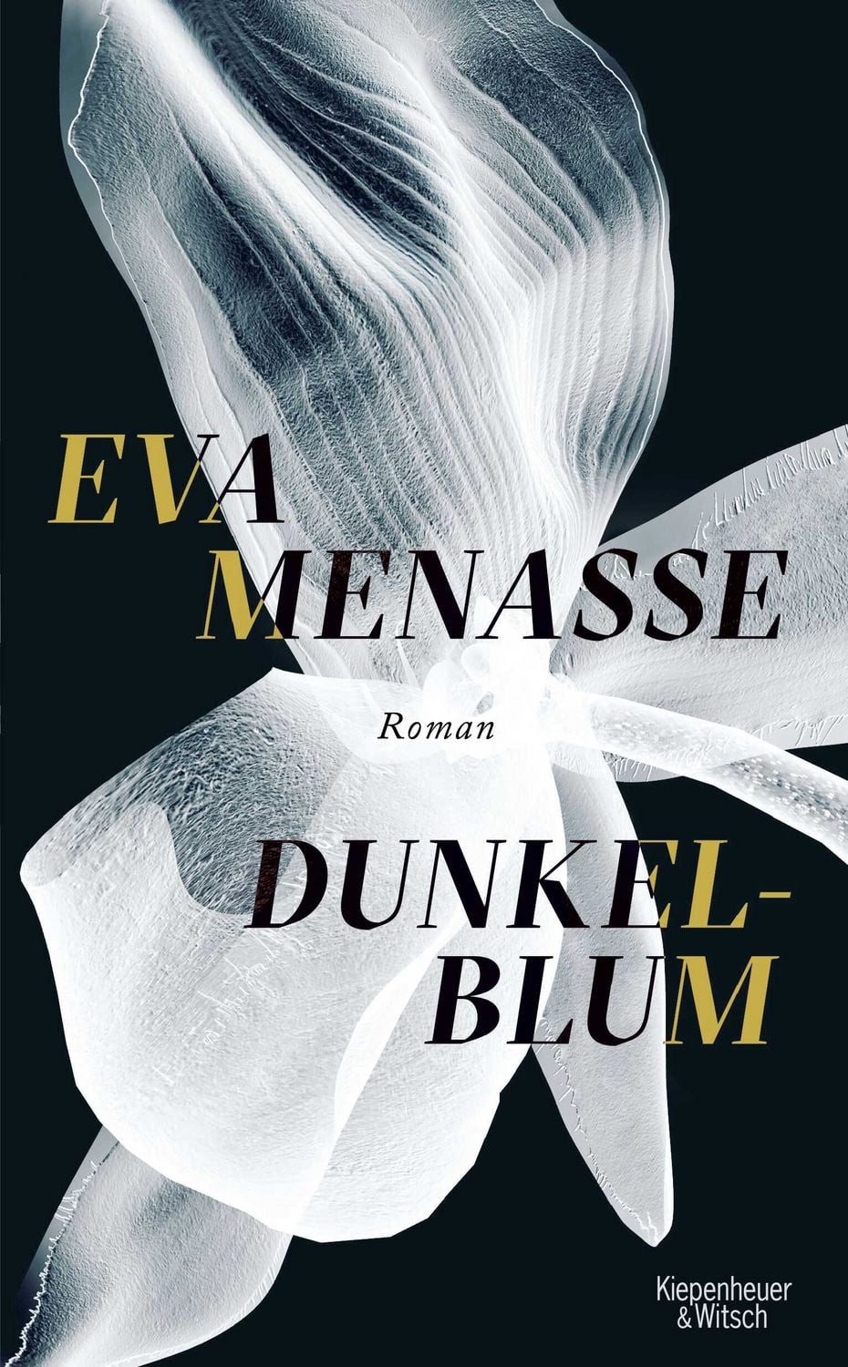 Dunkelblum / Eva Menasse, Roman
