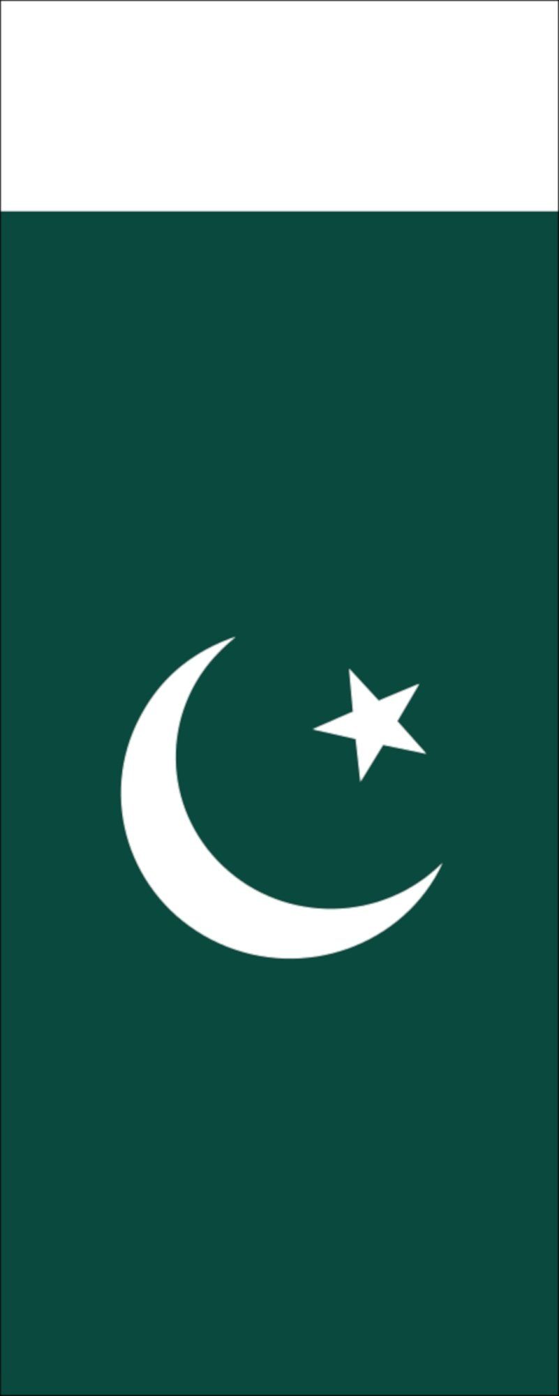 g/m² 110 Pakistan Flagge Flagge Hochformat flaggenmeer