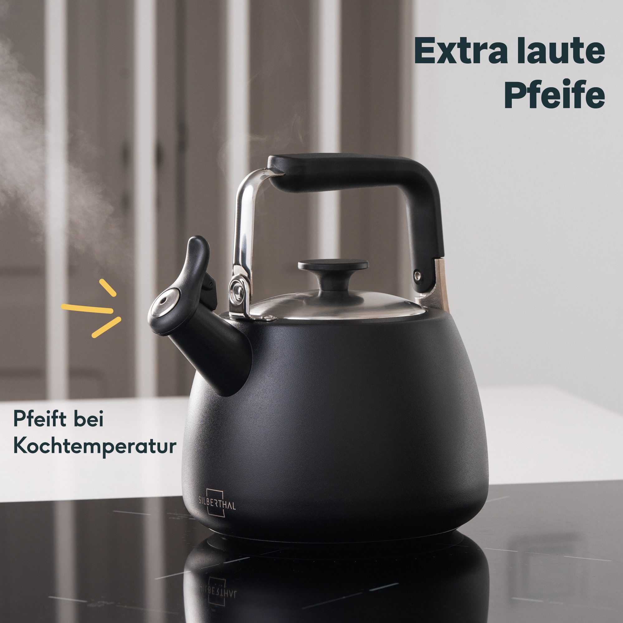 SILBERTHAL Wasserkessel Flötenkessel schwarz 3L