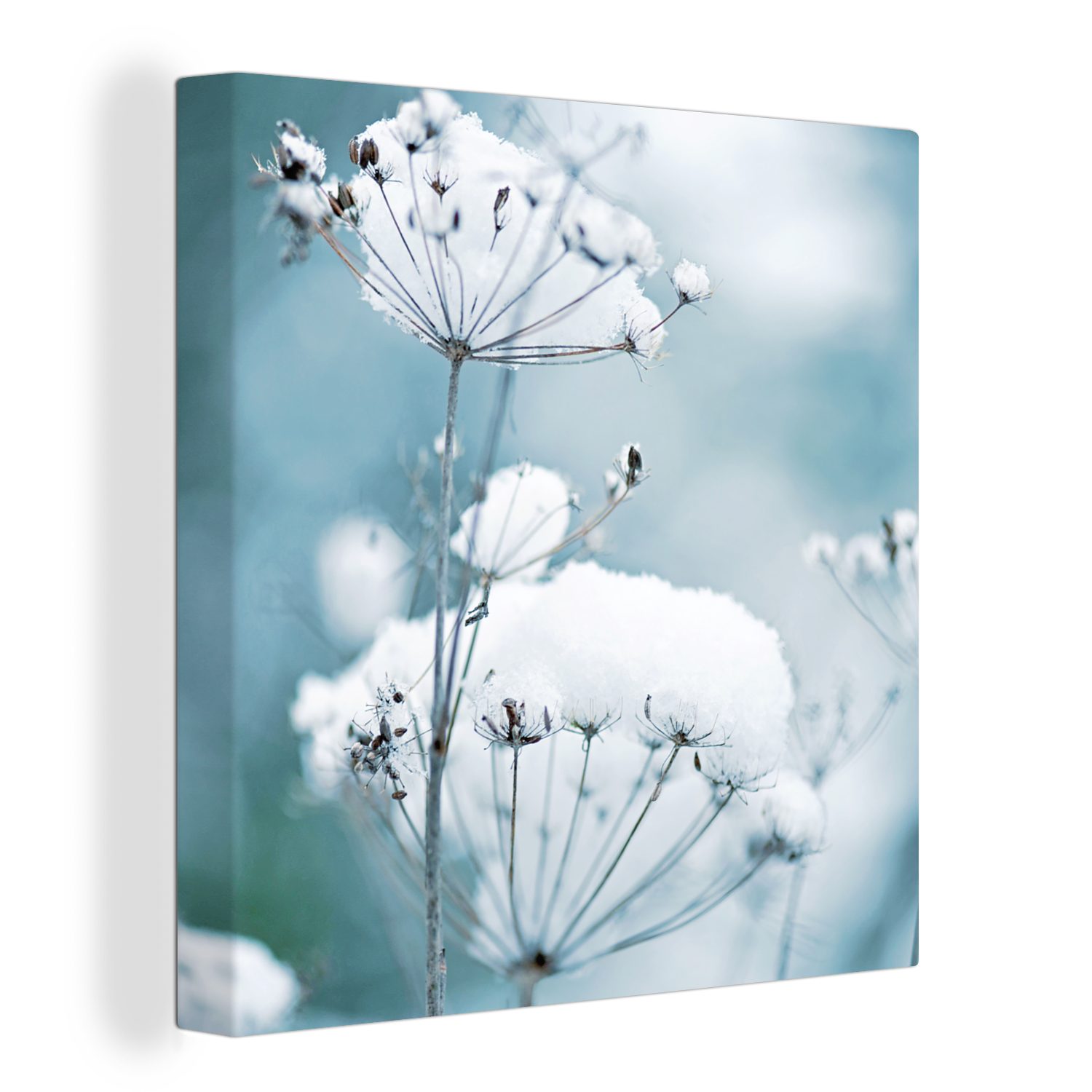 OneMillionCanvasses® Leinwandbild Schnee - Blumen - günstig online kaufen