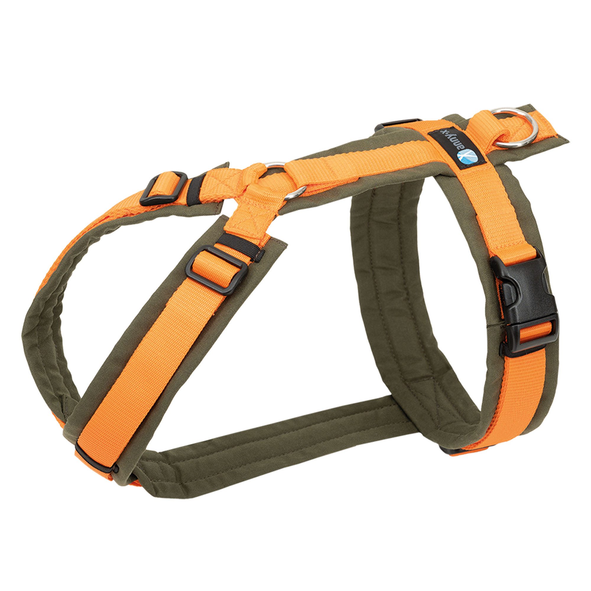 AnnyX Hunde-Geschirr Brustgeschirr Fun - gepolstert - superbequem, Nylon, b günstig online kaufen