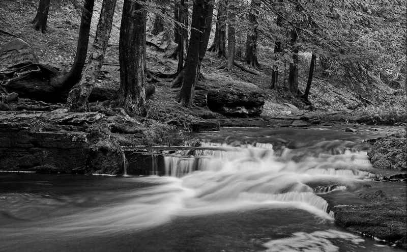 Papermoon Fototapete Wasserfall Schwarz & Weiß