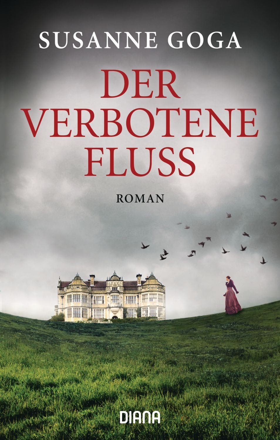 Der verbotene Fluss / Susanne Goga