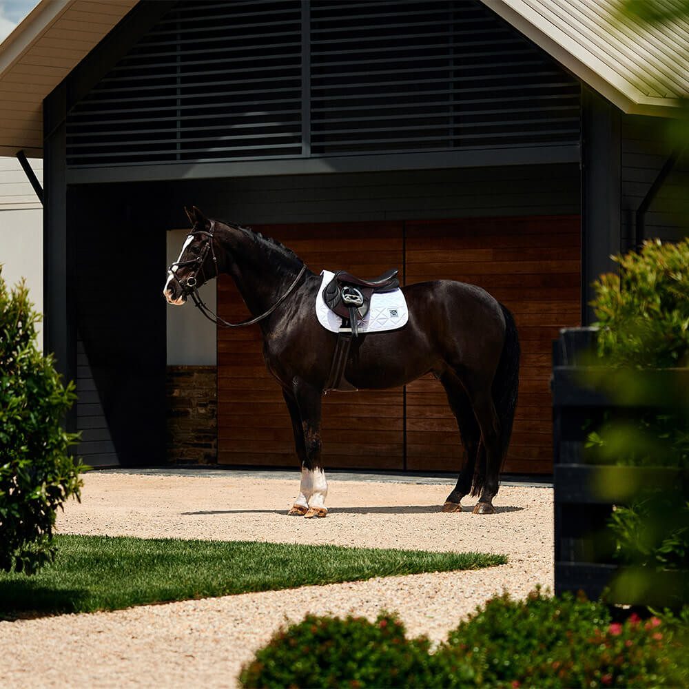 WeatherBeeta Schabracke Weatherbeeta Satin Luxe Air-Tec Euro Jump Shaped Saddle Pad