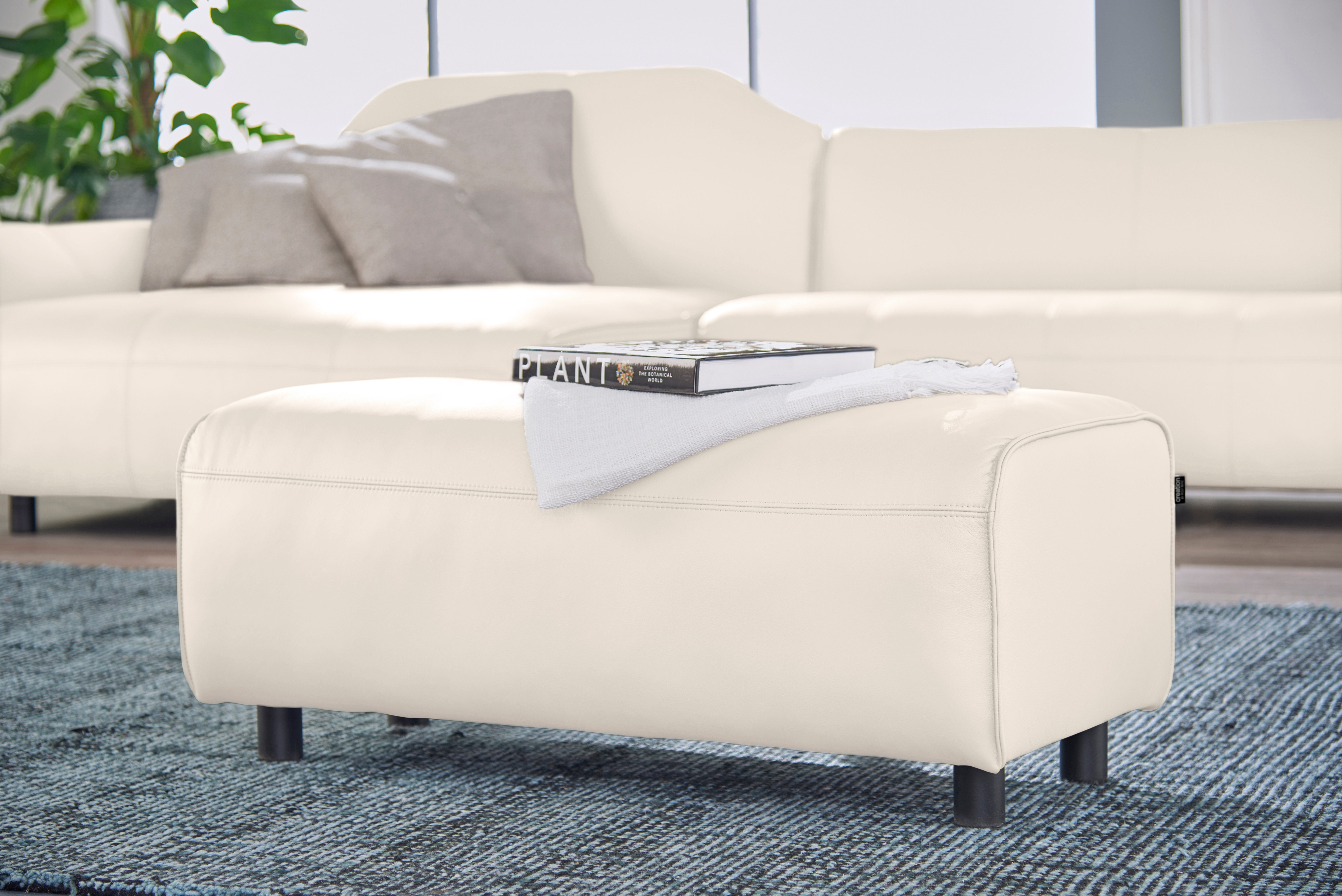 Creation BY ROLF BENZ Hockerbank CR.480