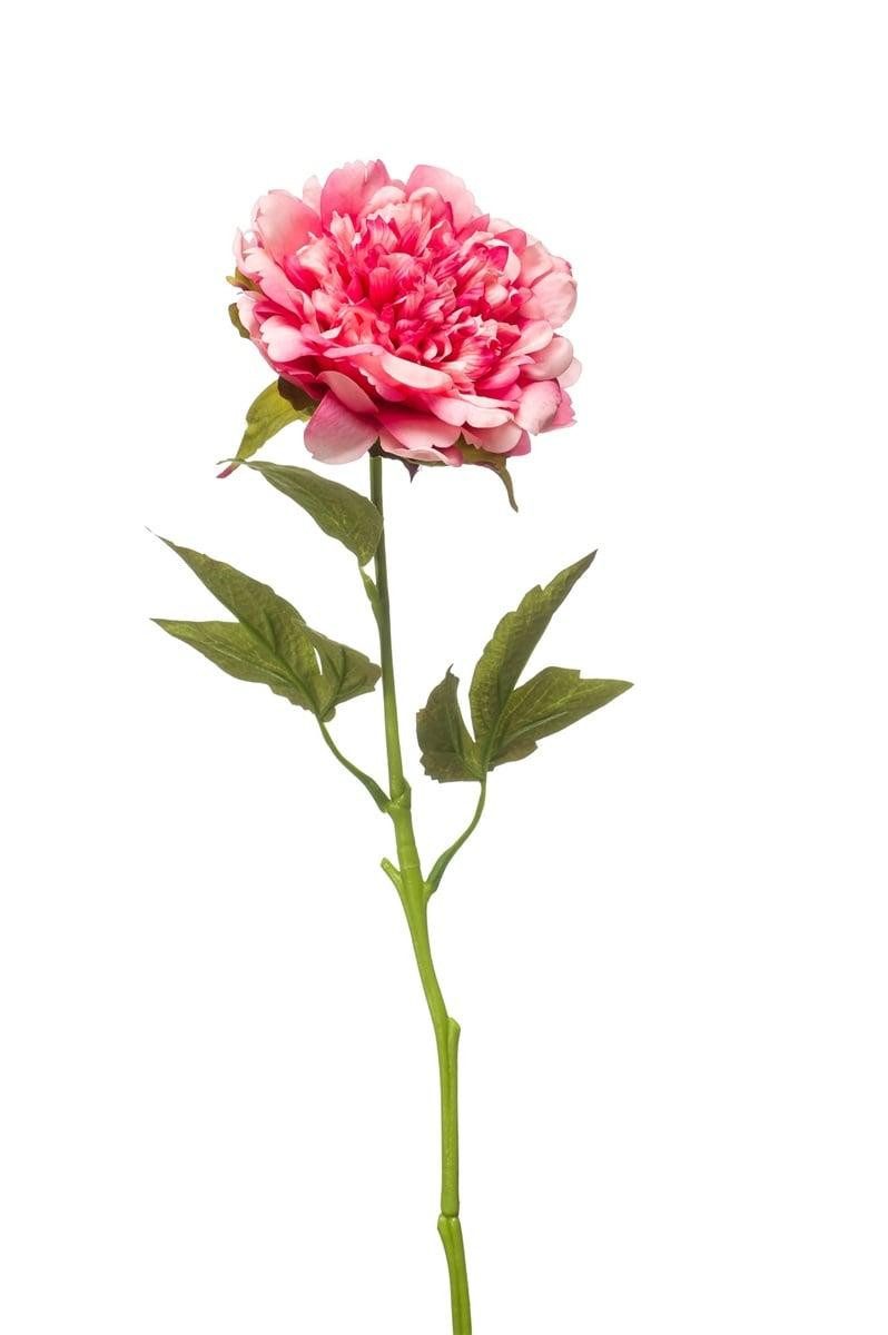 Kunstblume Pfingstrose GAVRON, rosa, 55cm Pfingstrose, artplants, Höhe 55.0 cm