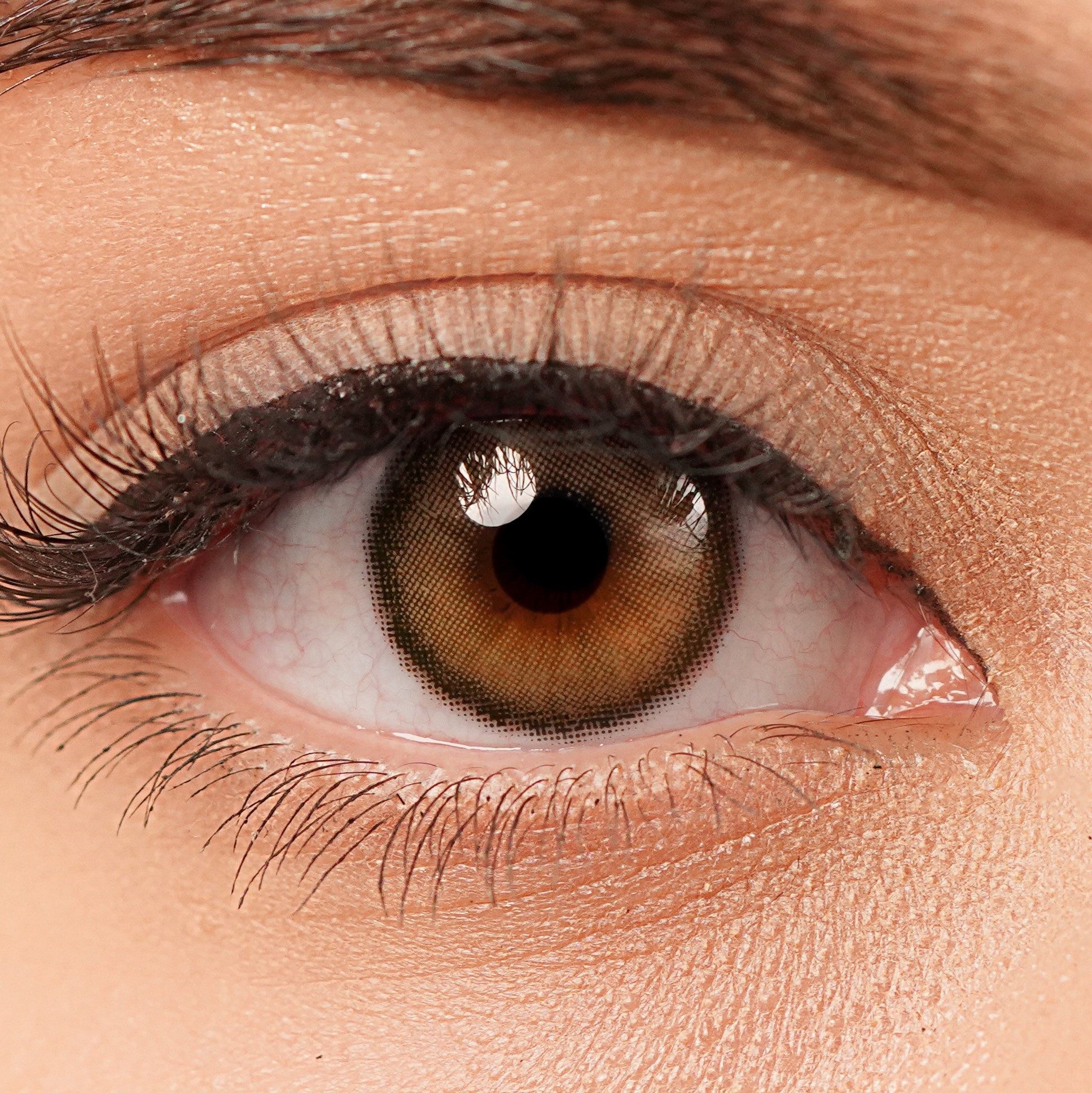 Charmiga Jahreslinsen Farbige Kontaktlinsen Braun, 6-Monatslinsen, City Brown, Farbige Kontaktlinsen