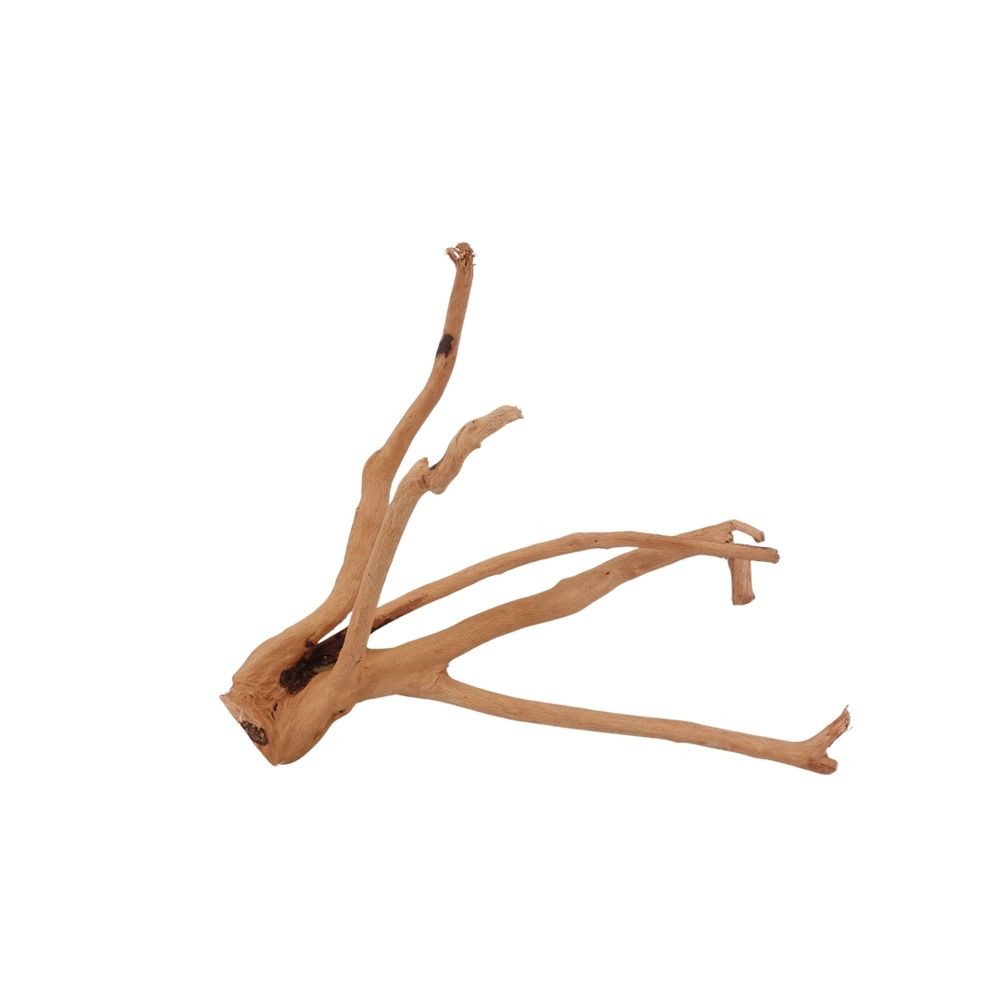 Aquaone Aquarium M Moorkienwurzel Nr.2694 Holz Deko Aquascaping
