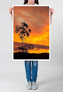 Sinus Art Poster 90x60cm Poster Feuriger Sonnenaufgang mit Baum Australien