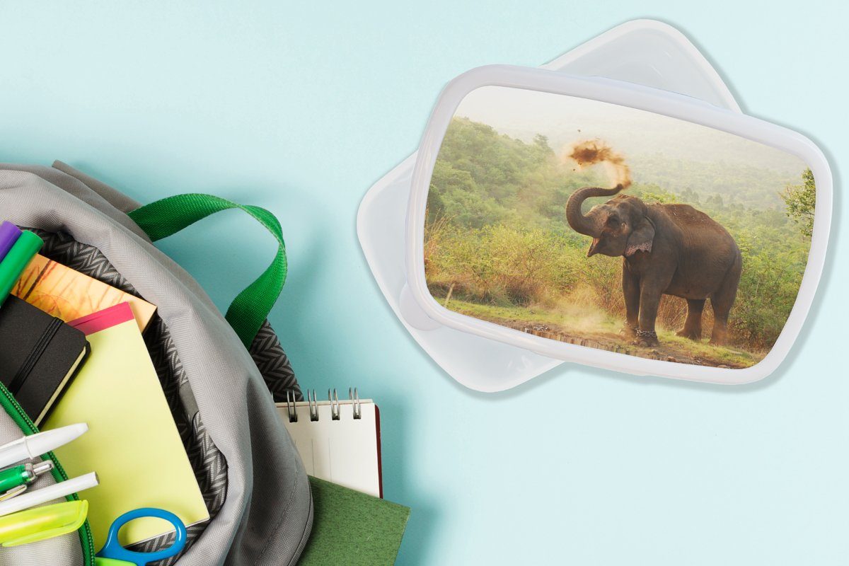 (2-tlg), und Kinder Elefant - Brotbox Lunchbox Brotdose, Jungs und - Kunststoff, Mädchen - weiß Bäume, für Wald Erwachsene, MuchoWow Tiere für