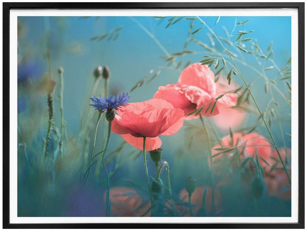 Poster (1 Blumen Aquamarin, Wall-Art St) Wildblumen