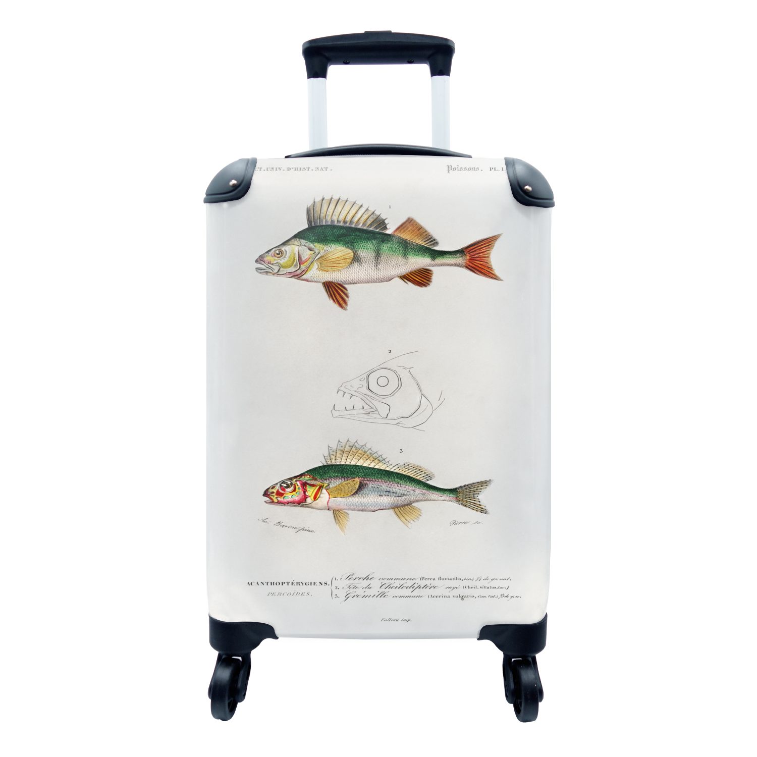 MuchoWow Handgepäckkoffer Fisch - Jahrgang - Realismus, 4 Rollen, Reisetasche mit rollen, Handgepäck für Ferien, Trolley, Reisekoffer