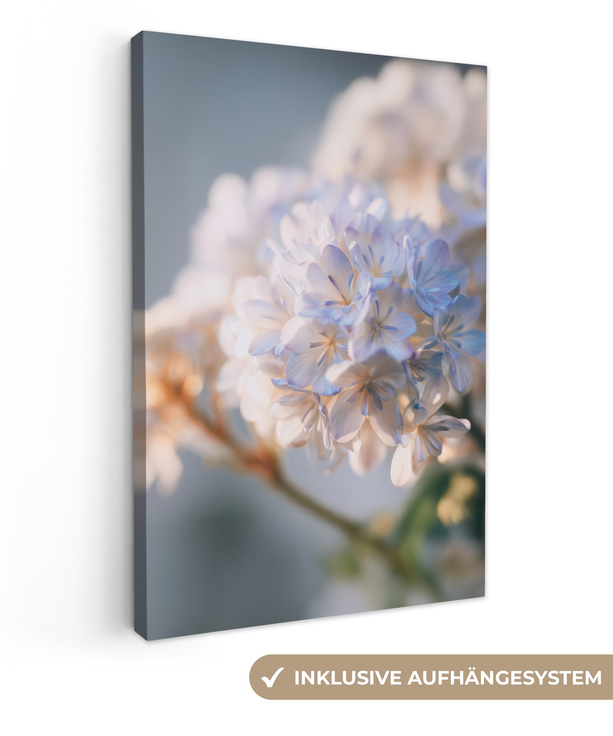 OneMillionCanvasses® Leinwandbild Blumen - Hellblau - Unscharf - Büschel, Fotodruck (1 St), Leinwand Canvas Wandbild, Wanddekoration 20x30 cm