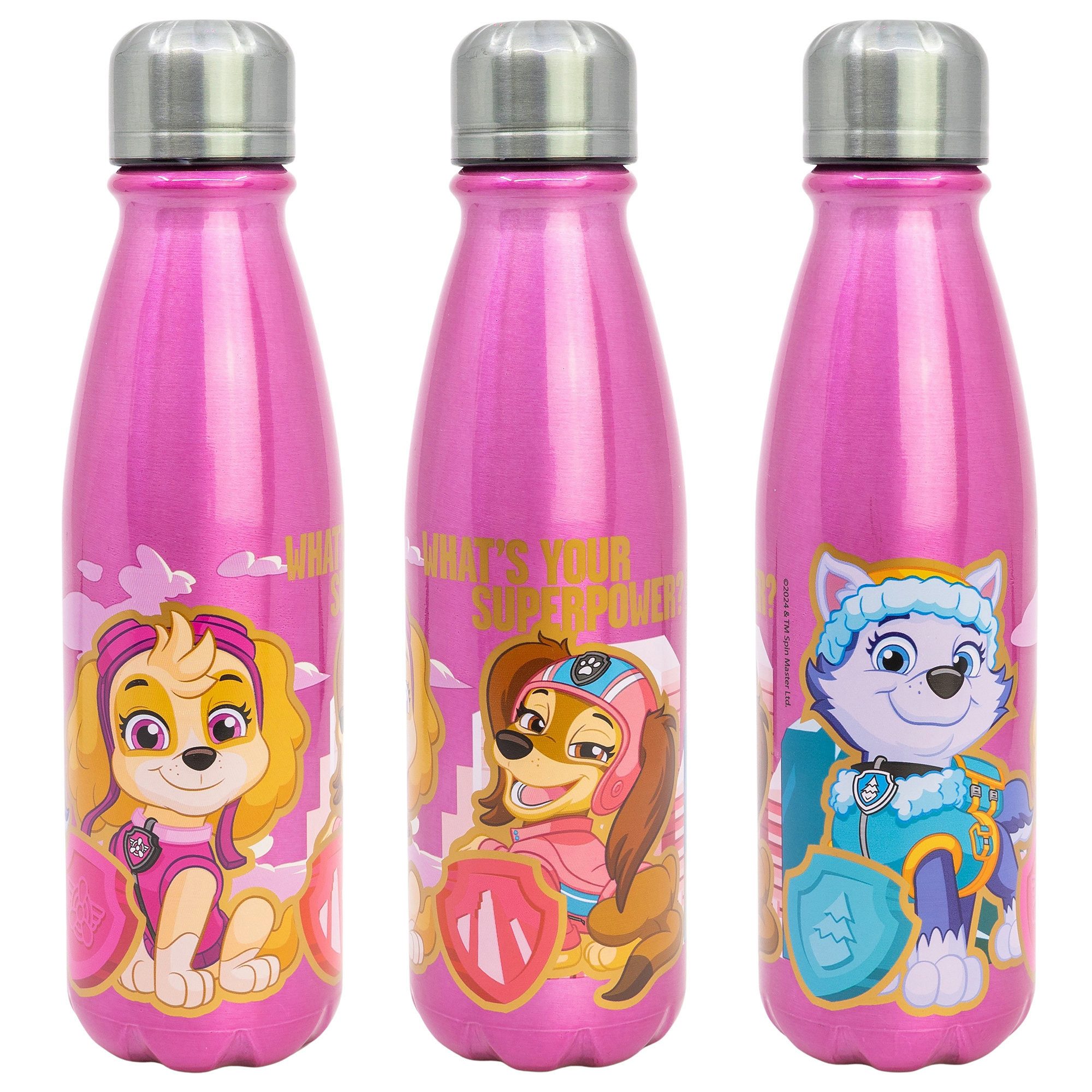 PAW PATROL Trinkflasche Paw Patrol Skye Everest Liberty ALU Wasserflasche Flasche 600 ml