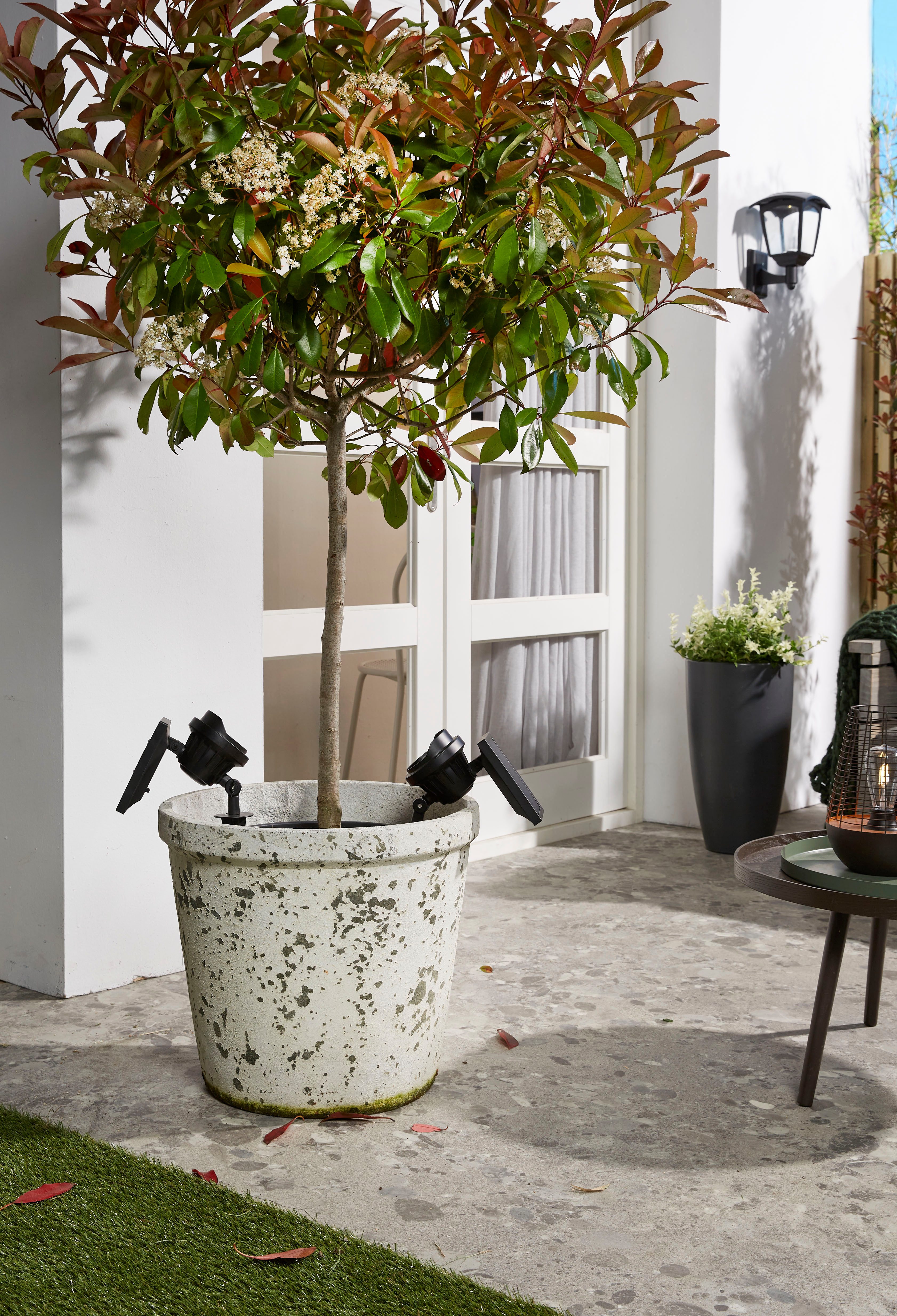 Luxform Gartenstrahler Solar-Intelligente Hybrid-Erdspießleuchte - Texas, L günstig online kaufen