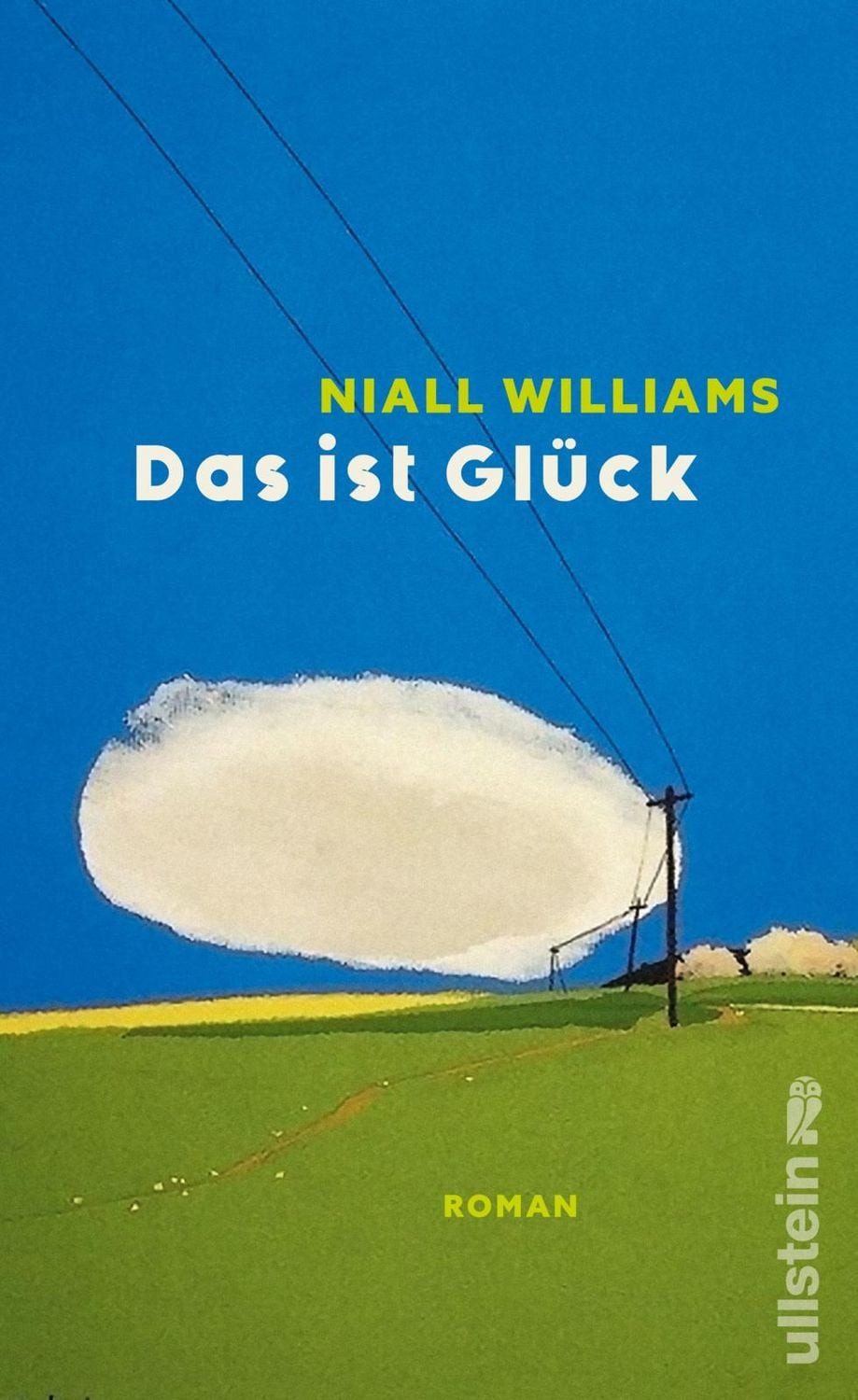 Das ist Glück / Niall Williams