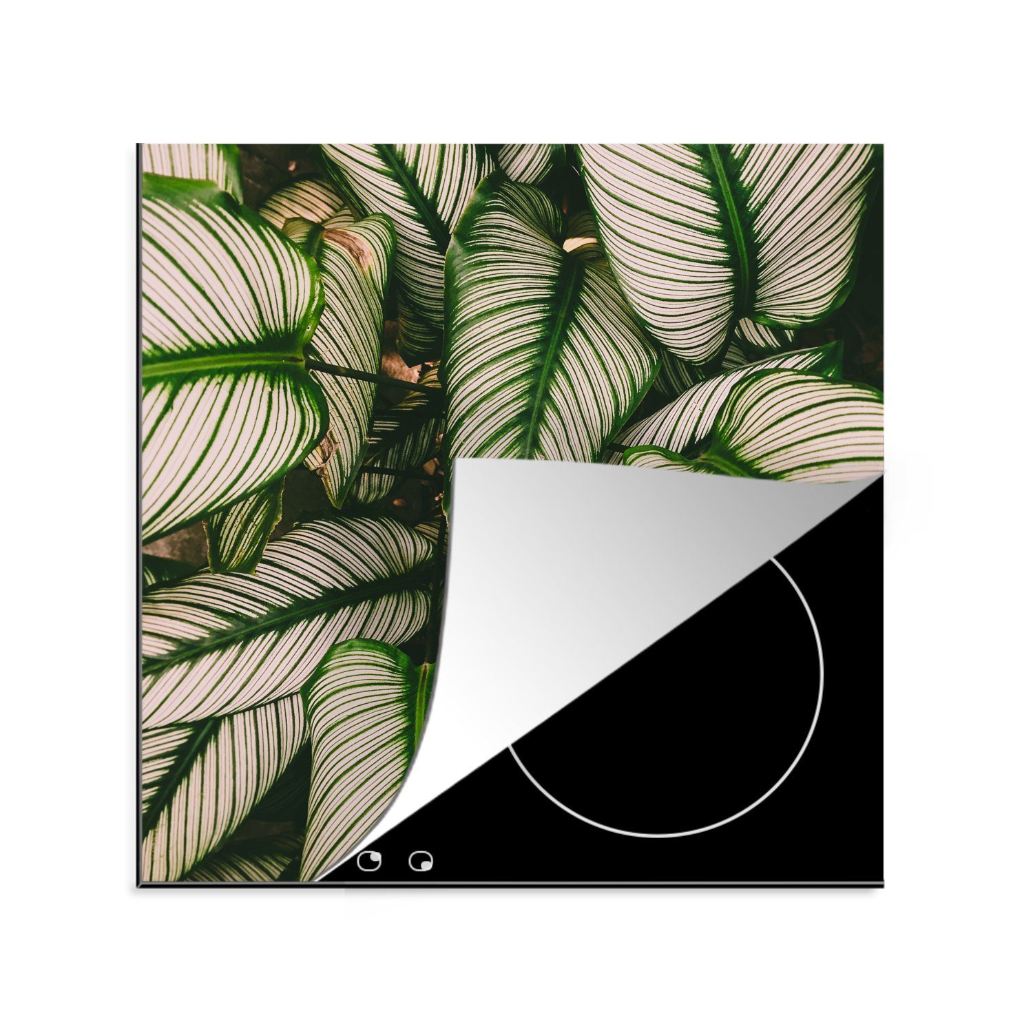 Herdblende-/Abdeckplatte Vinyl, Blätter cm, 78x78 - für MuchoWow Ceranfeldabdeckung, Weiß, Arbeitsplatte (1 Pflanzen - küche tlg),