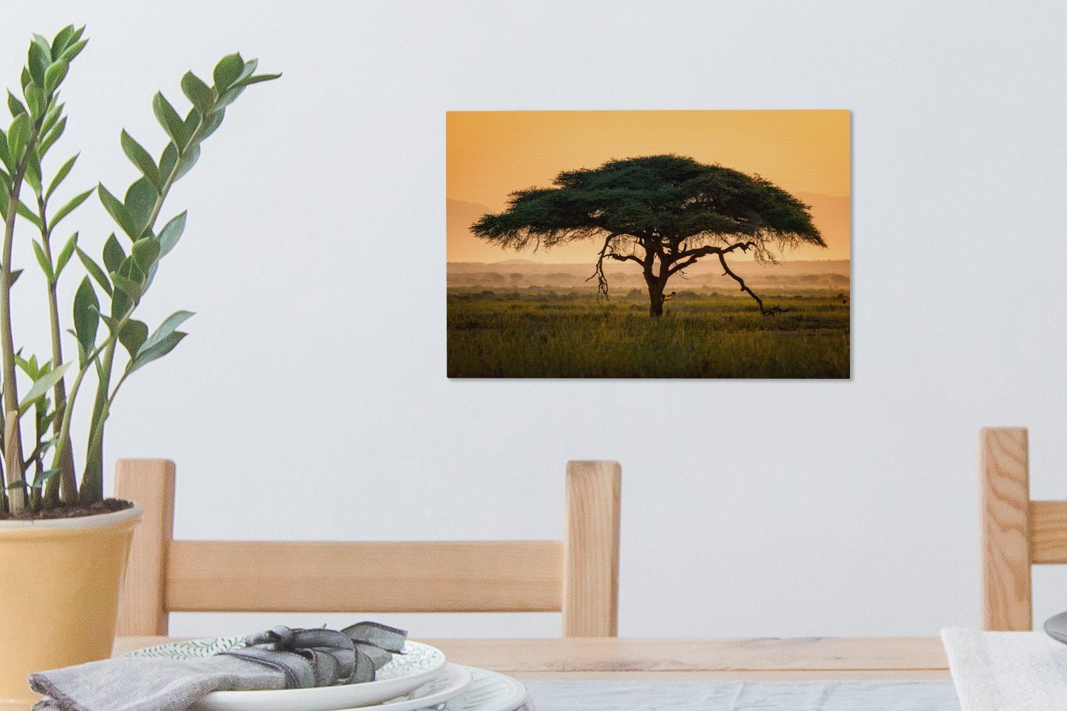 vor 30x20 Himmel, OneMillionCanvasses® Tropischer Leinwandbild Aufhängefertig, Akazienbaum Leinwandbilder, St), orangefarbenem cm (1 Wanddeko, Wandbild