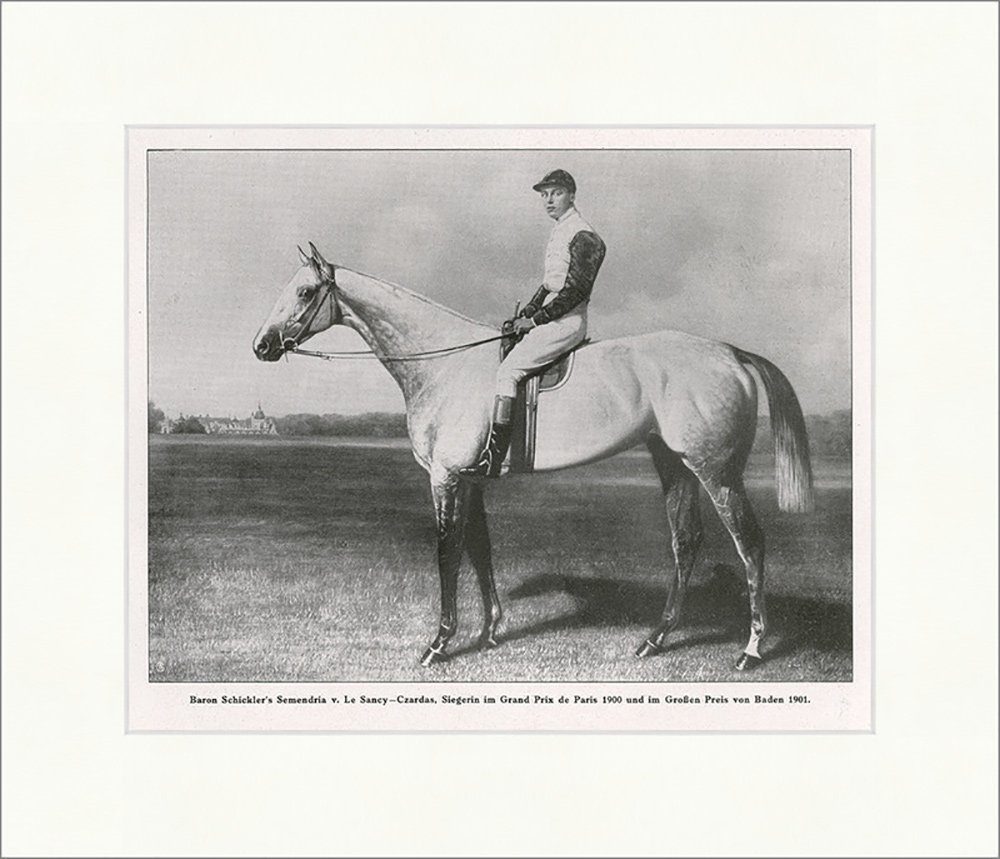 Kunstdruck Baron Schicklers Semendria v. Le Sancy Pferde Reiter Jockey F_Vintage