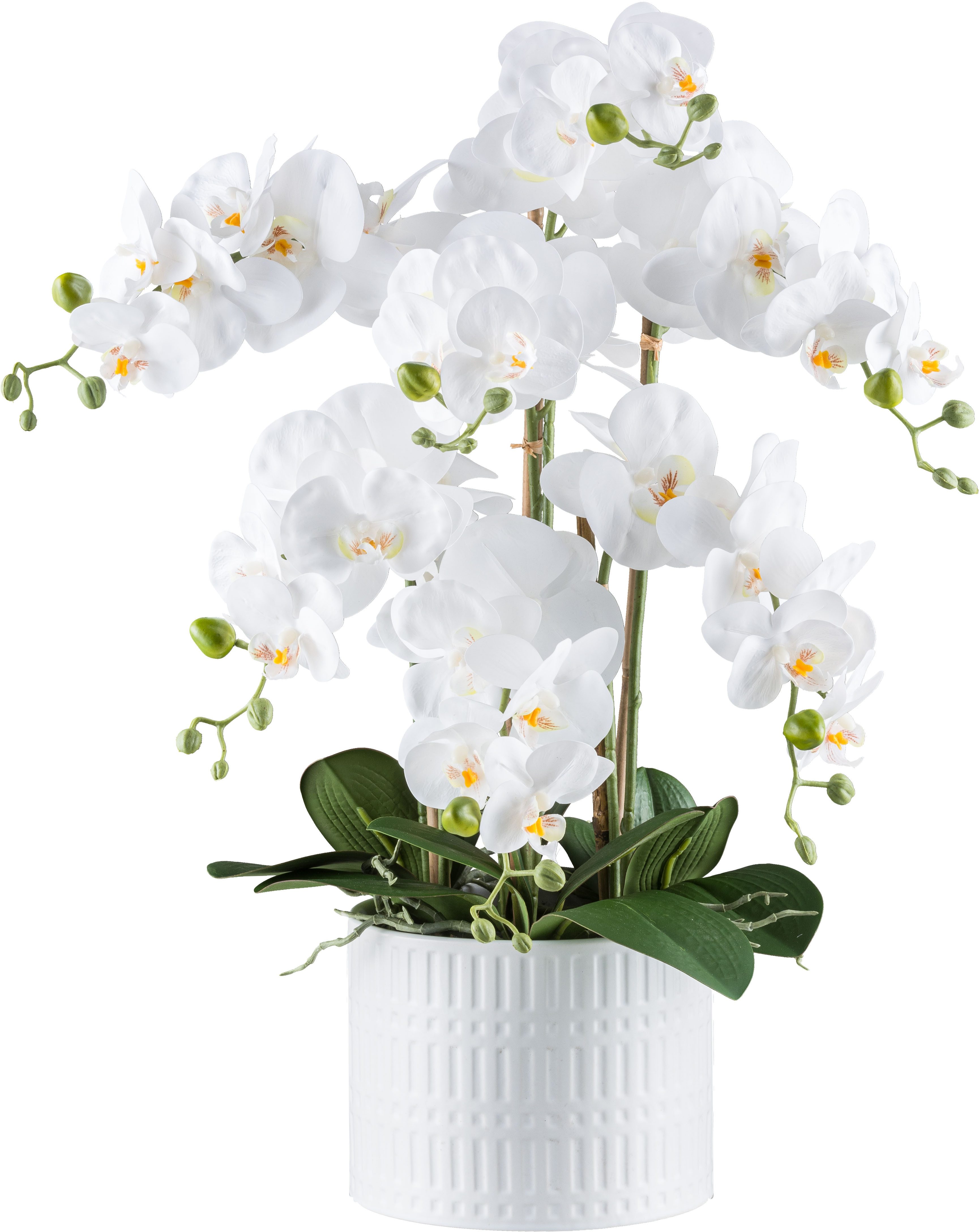 Kunstorchidee Orchidee Phalaenopsis, Creativ green, Höhe günstig online kaufen