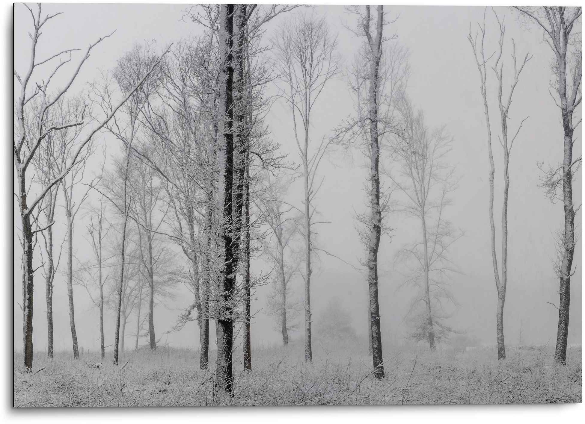 Wandbild Wald - Schwarz-Weiss Still Bäume, Aluminium Reinders! Stillleben Natur (1 Wandbild St) - -