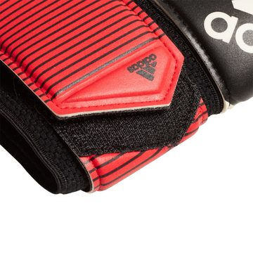 adidas Sportswear Torwarthandschuhe TW-Handschuh Predator Comp 00000-000100