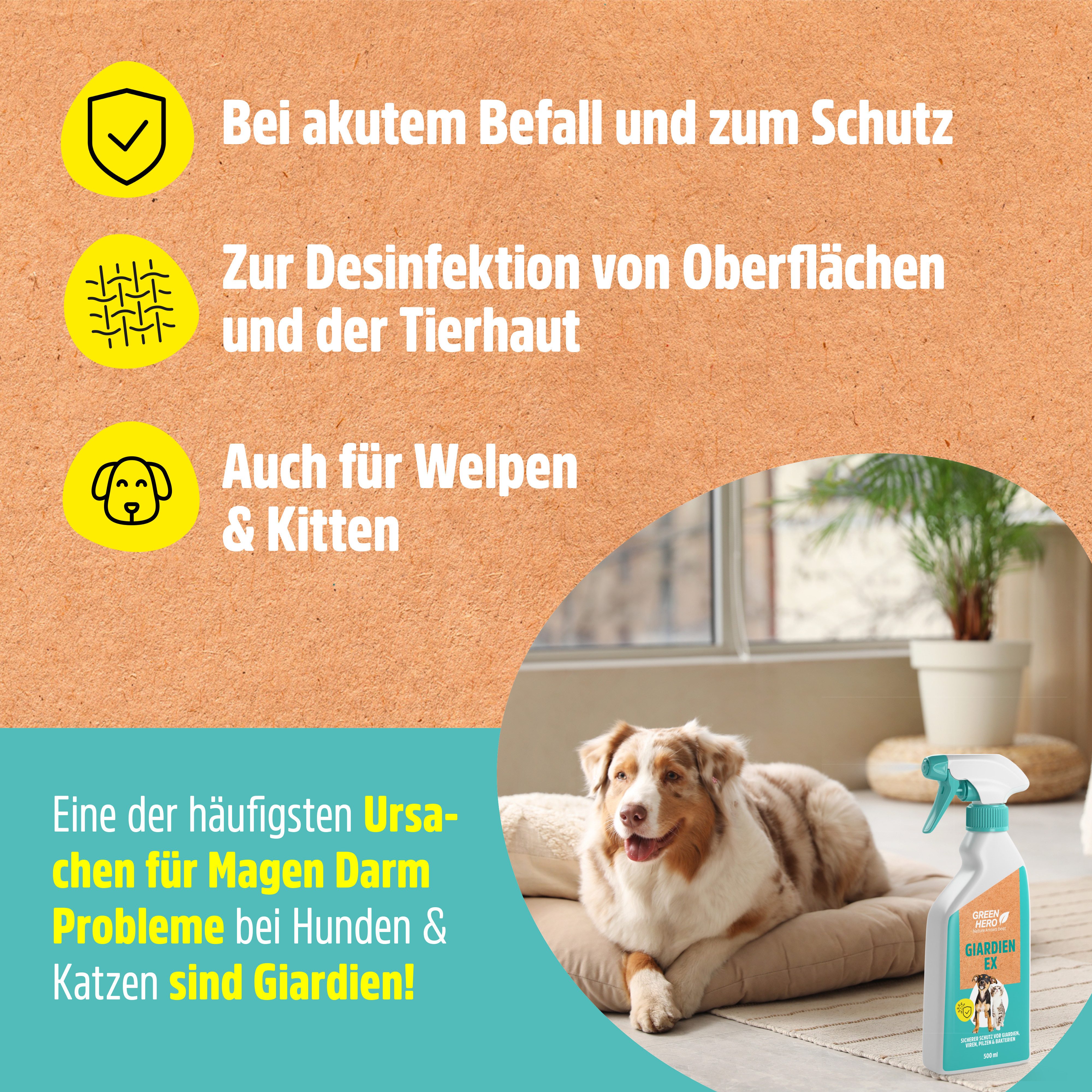 GreenHero Fellpflege Giardien-Ex schützt Hund & Katze vor Bakterien, Viren & Pilzen, 500 ml
