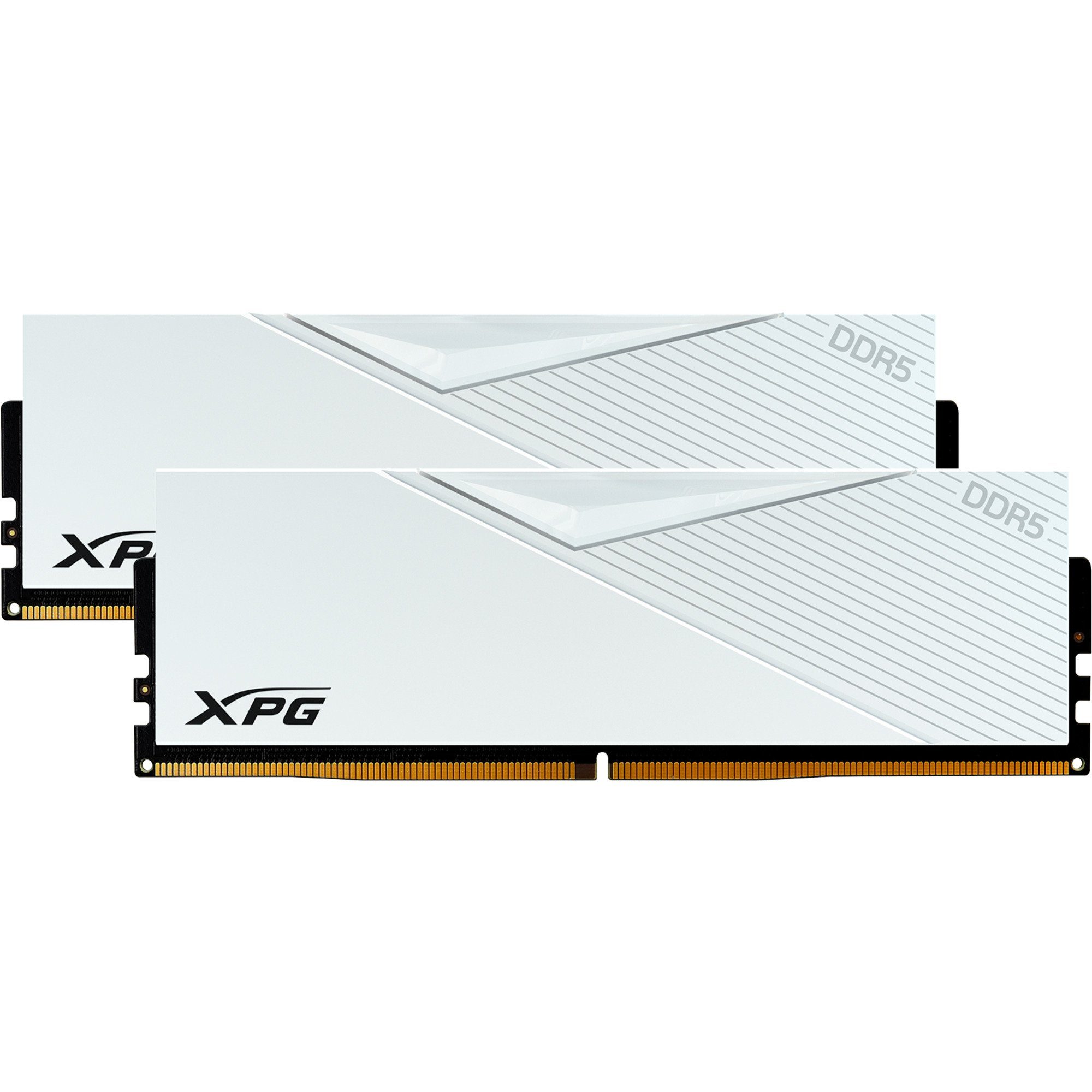 ADATA DDR5 RAM 32 GB Kit (2x16 GB) 6000 MHz – RGB-Beleuchtung, Für Gaming & High-Performance-PCs