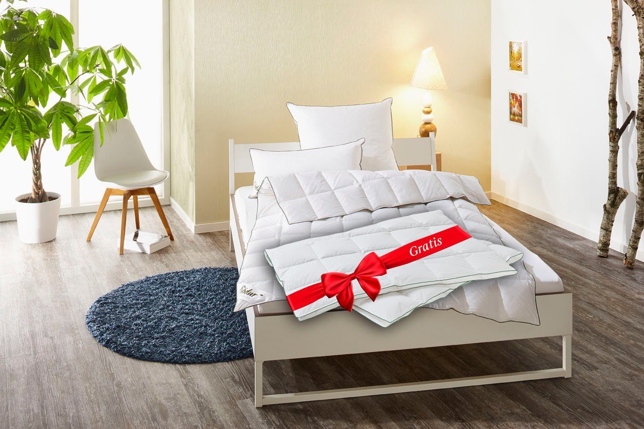 fjödur Daunenbettdecke Fabian 2für1, Bettdecke für Sommer, Winter, alle Wärmeklassen, Füllung: 60% Daunen & 40% Federn, Bezug: 100% Baumwolle, Bettdecke in 135x200,155x220 cm, inklusive 1 Gratis-Leichtdecke.