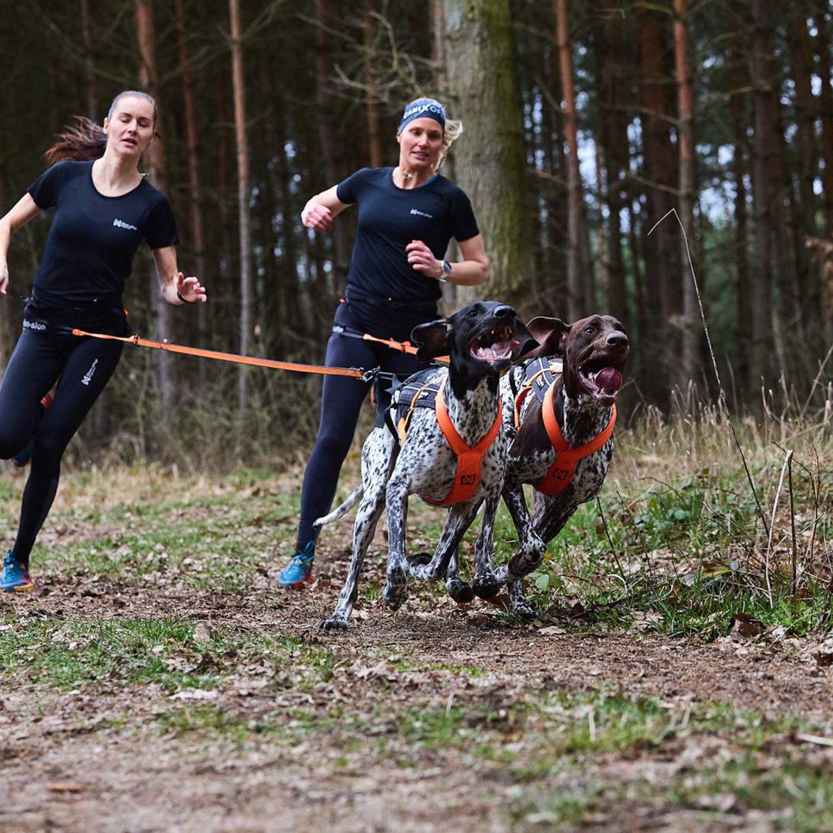 Non-stop dogwear Gürteltasche Laufgurt CaniX Belt Pro