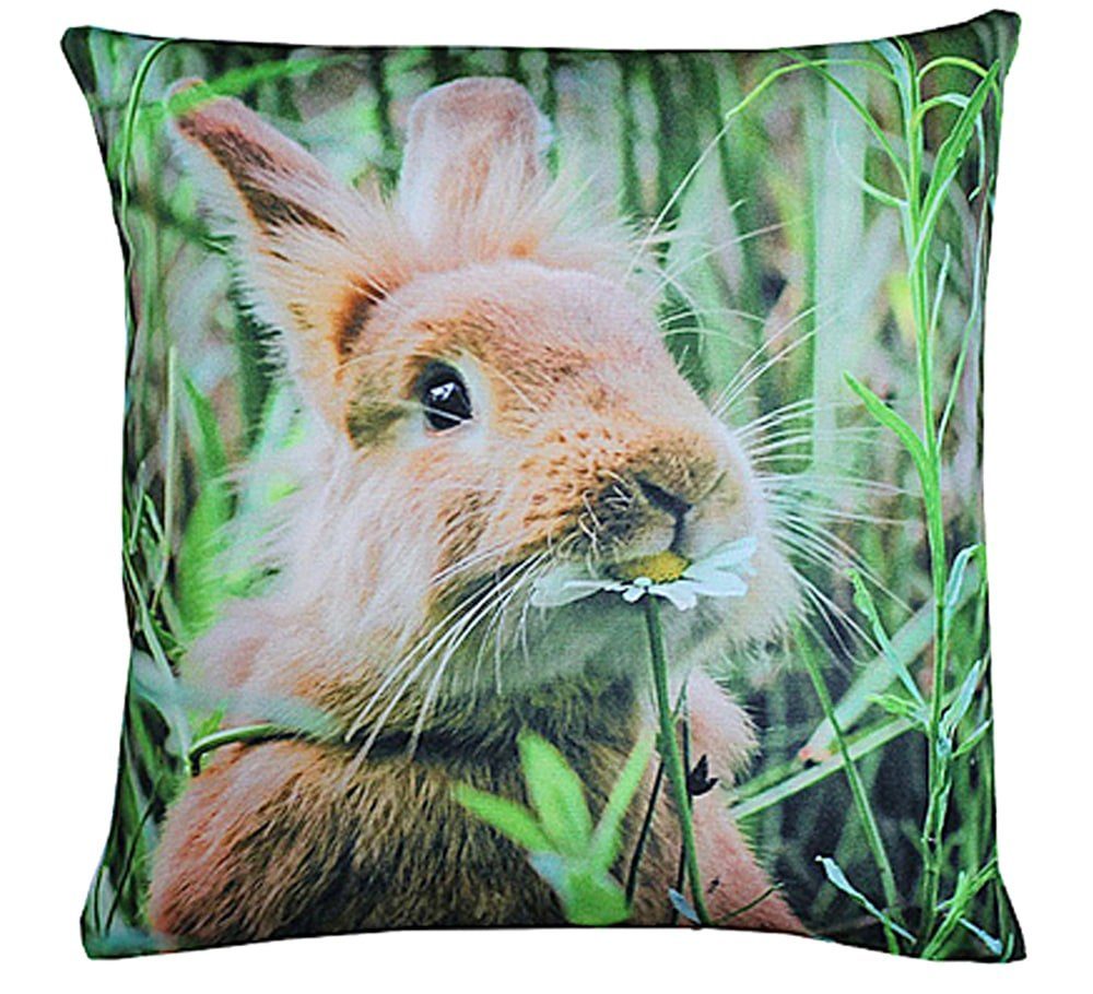 Kissenbezüge Kissenhülle Hase knabbert an Blume bunt Druck 40x40 cm, matches21 HOME & HOBBY (1 Stück)