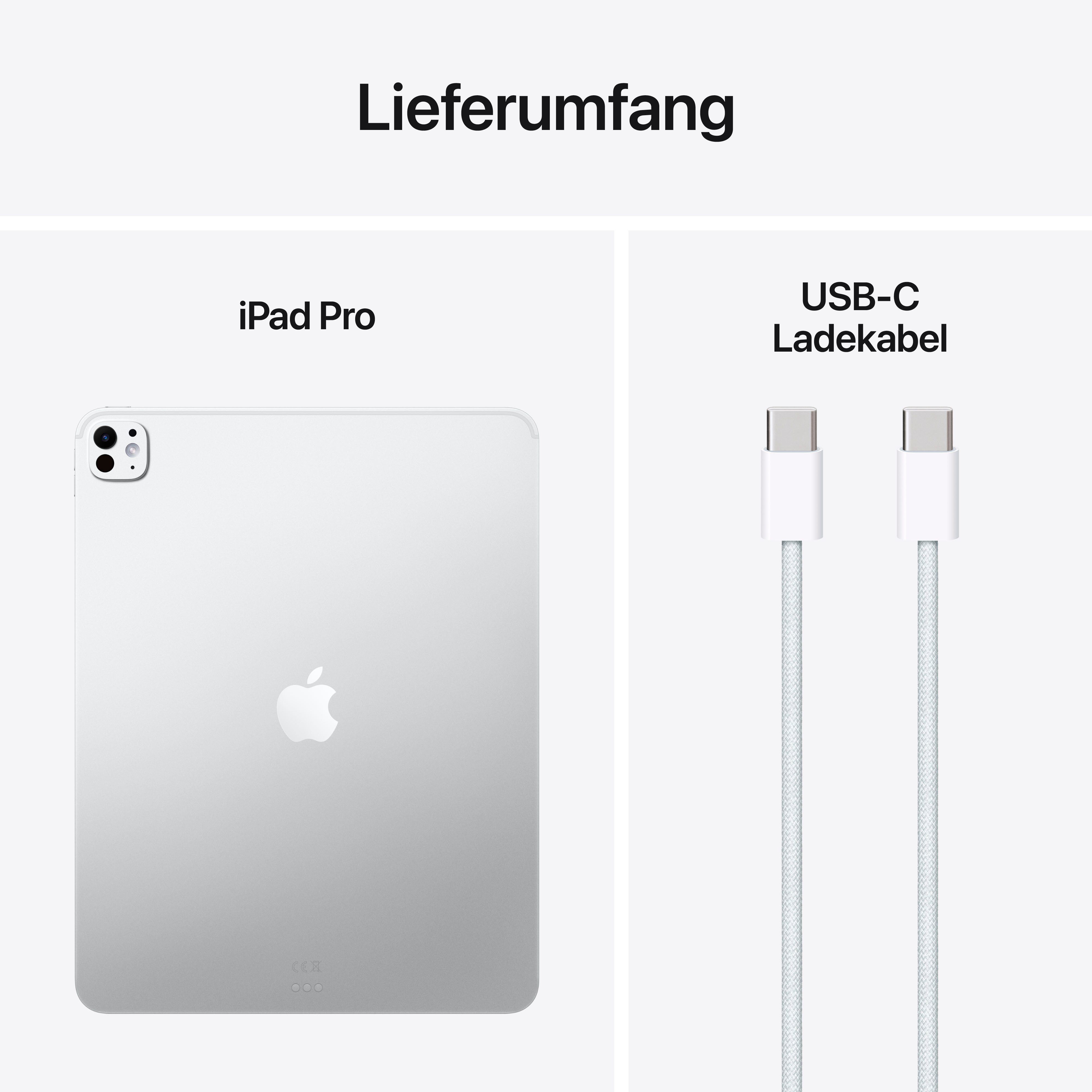 Apple 13-inch iPad Pro Tablet (13", iPadOS)