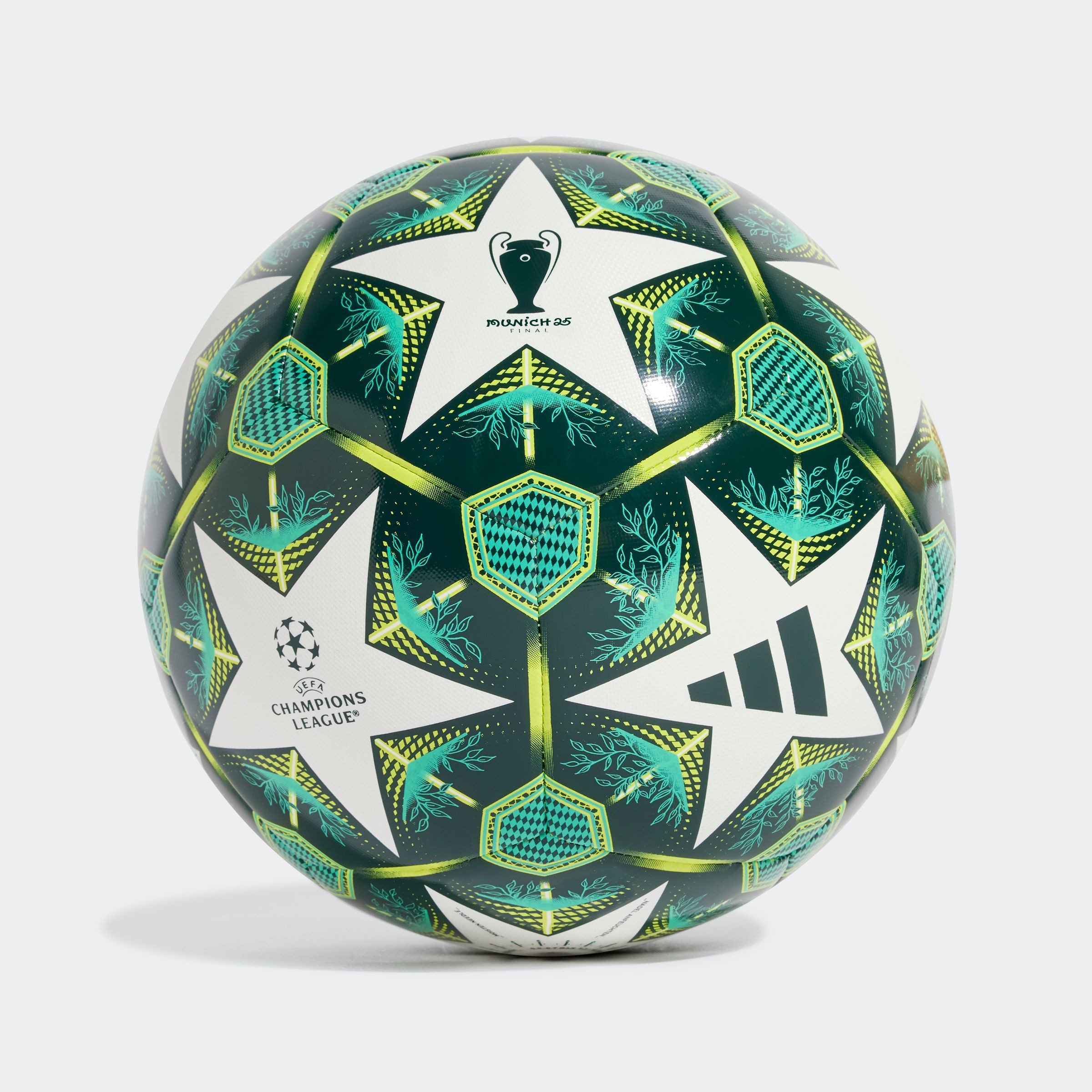 Fußball UCL TRN