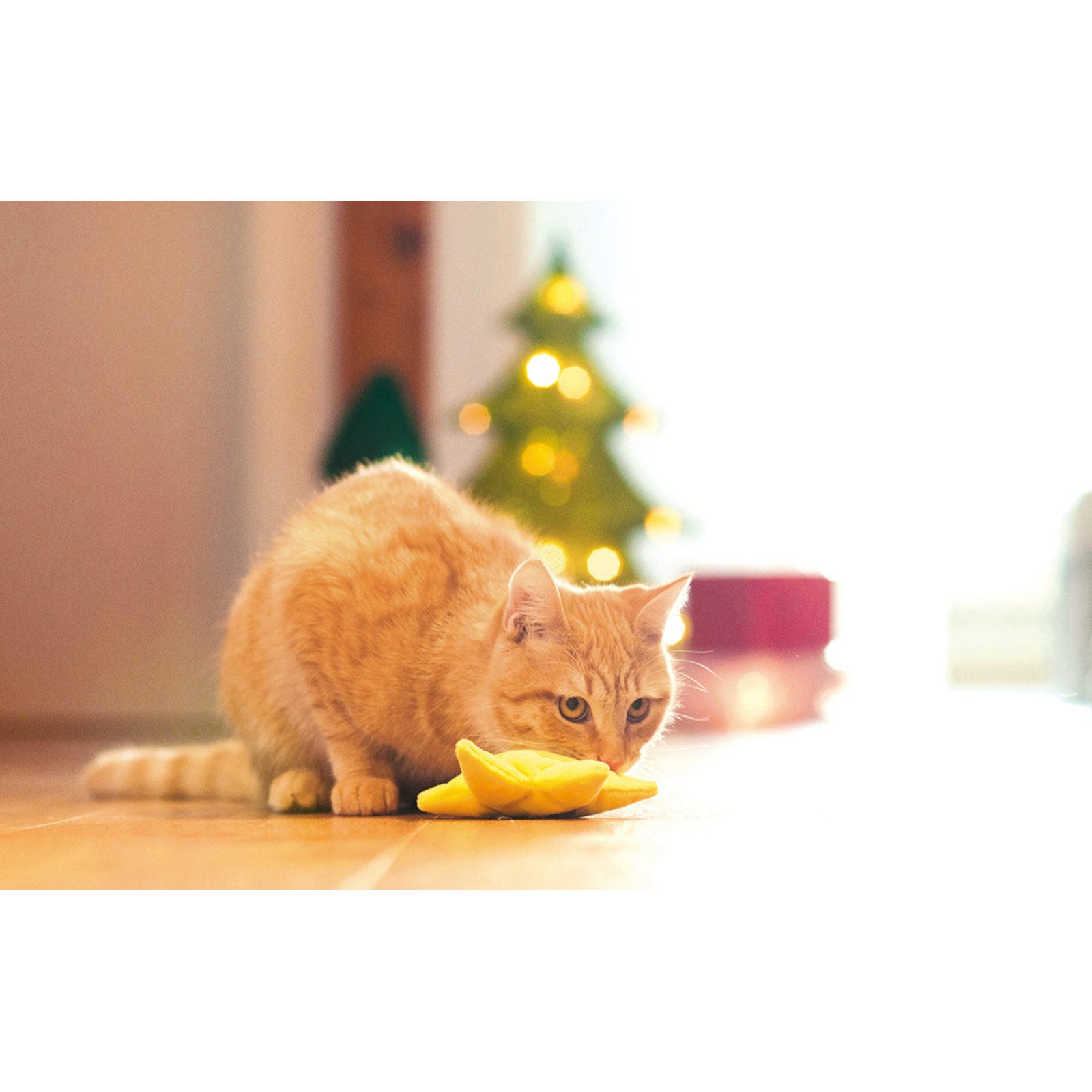 Aumüller Tierkuscheltier Katzenspielkissen Plüschstern, goldgelb, gefüllt mit Baldrian