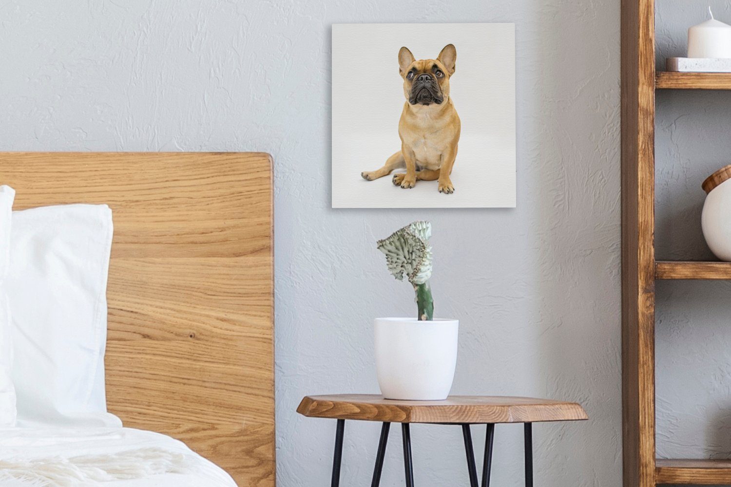 OneMillionCanvasses® Leinwandbild Französische Bulldogge - (1 Wohnzimmer - Weiß Braun, St), Bilder Leinwand Schlafzimmer für