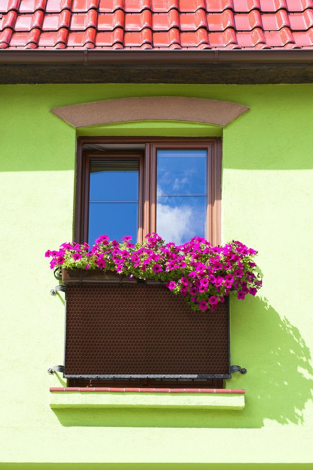 dynamic24 Sichtschutzzaunmatten, Polyrattan PVC Sichtschutz Matte günstig online kaufen